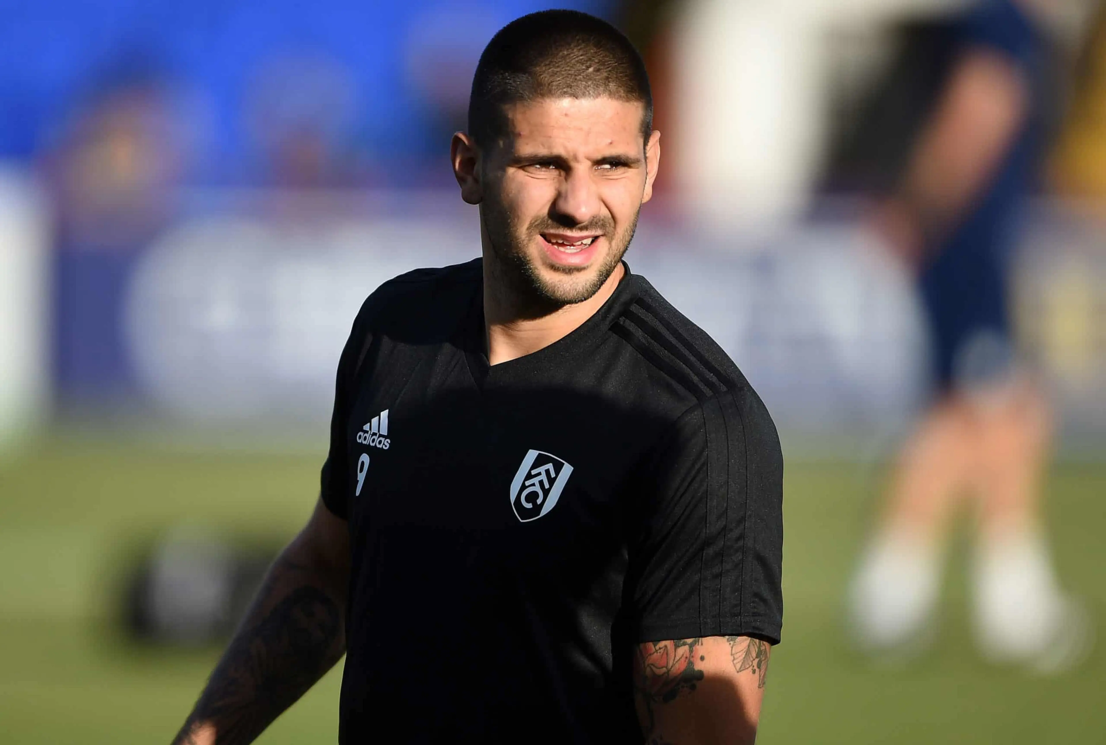 Aleksandar Mitrovic, Championship title odds