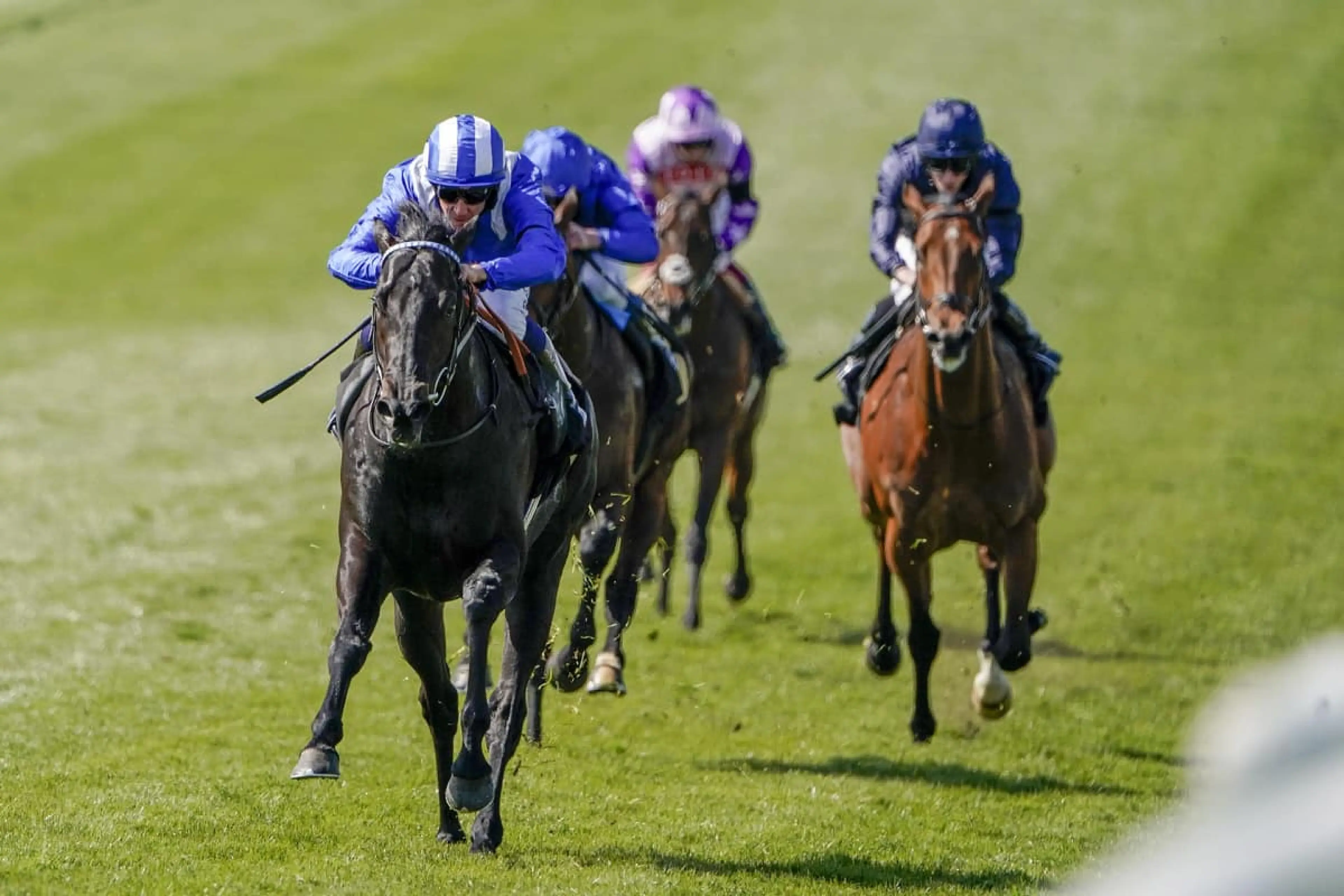Mutasaabeq 2000 Guineas