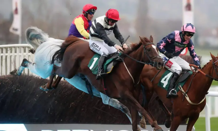 Count Meribel, Ascot