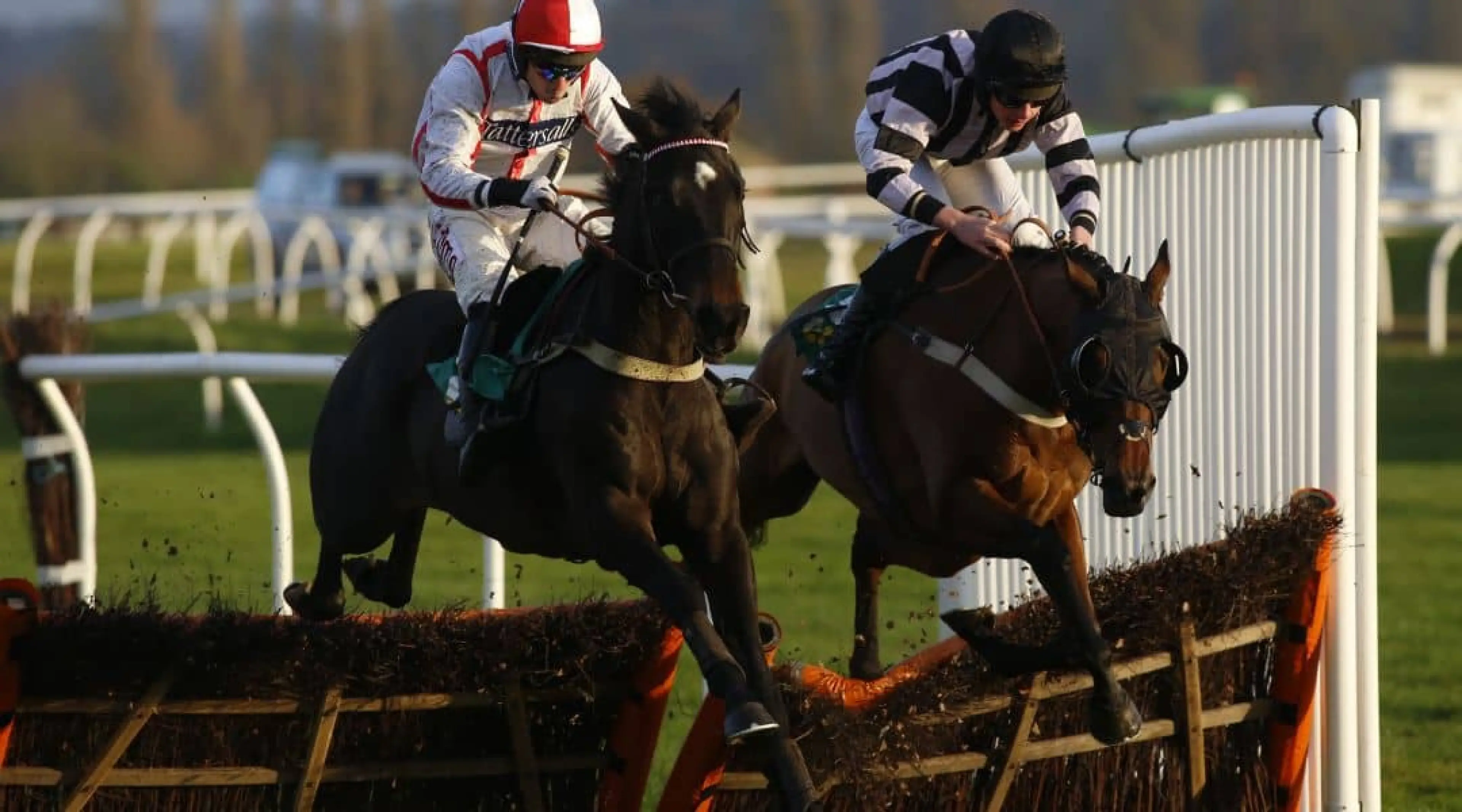 Who Dares Wins