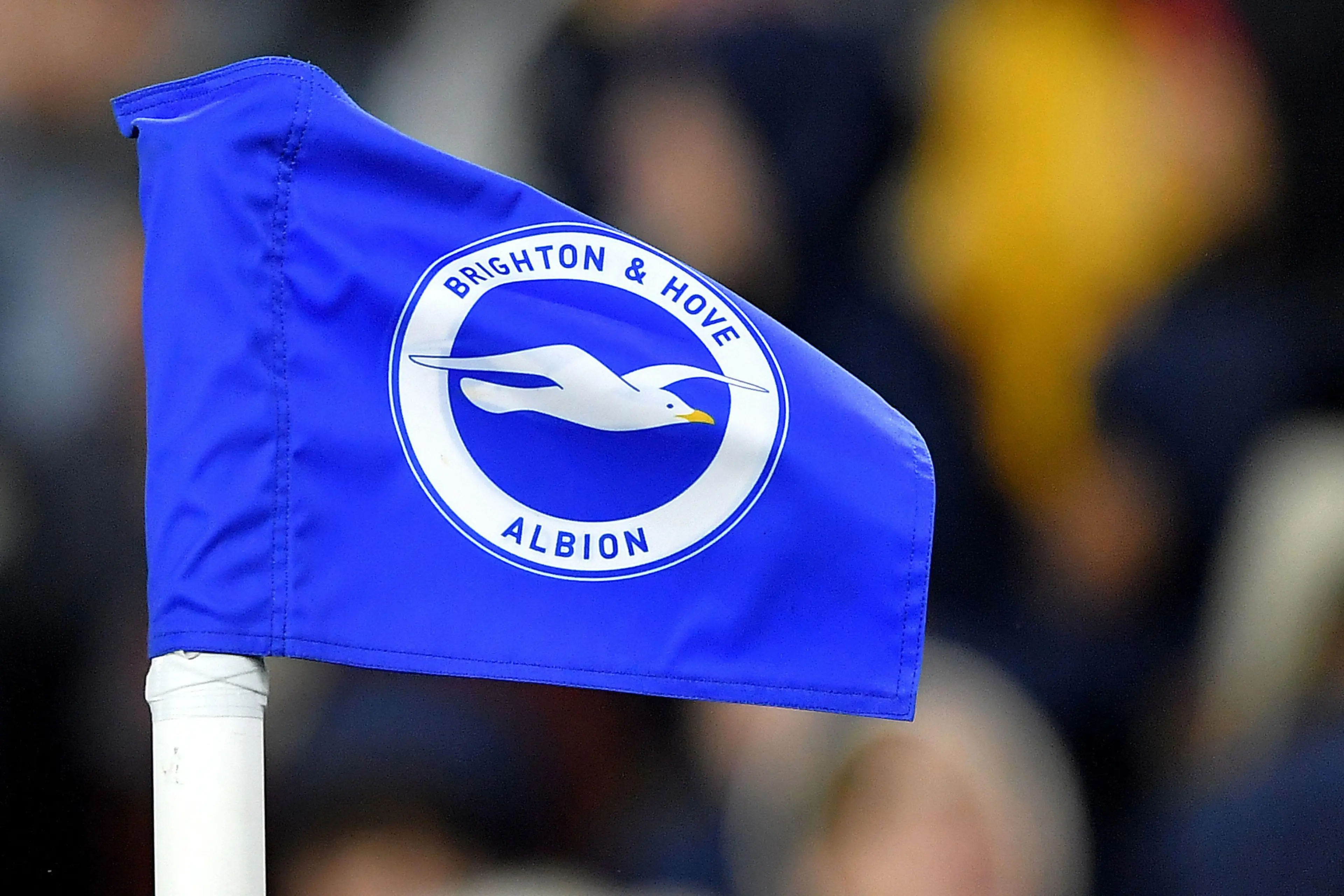 Brighton and Hove Albion corner flag