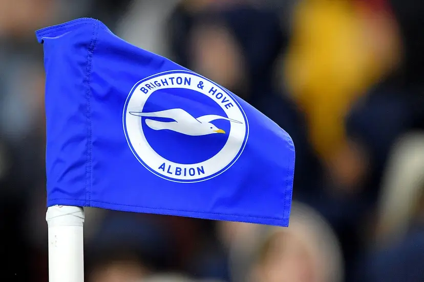 Brighton and Hove Albion corner flag