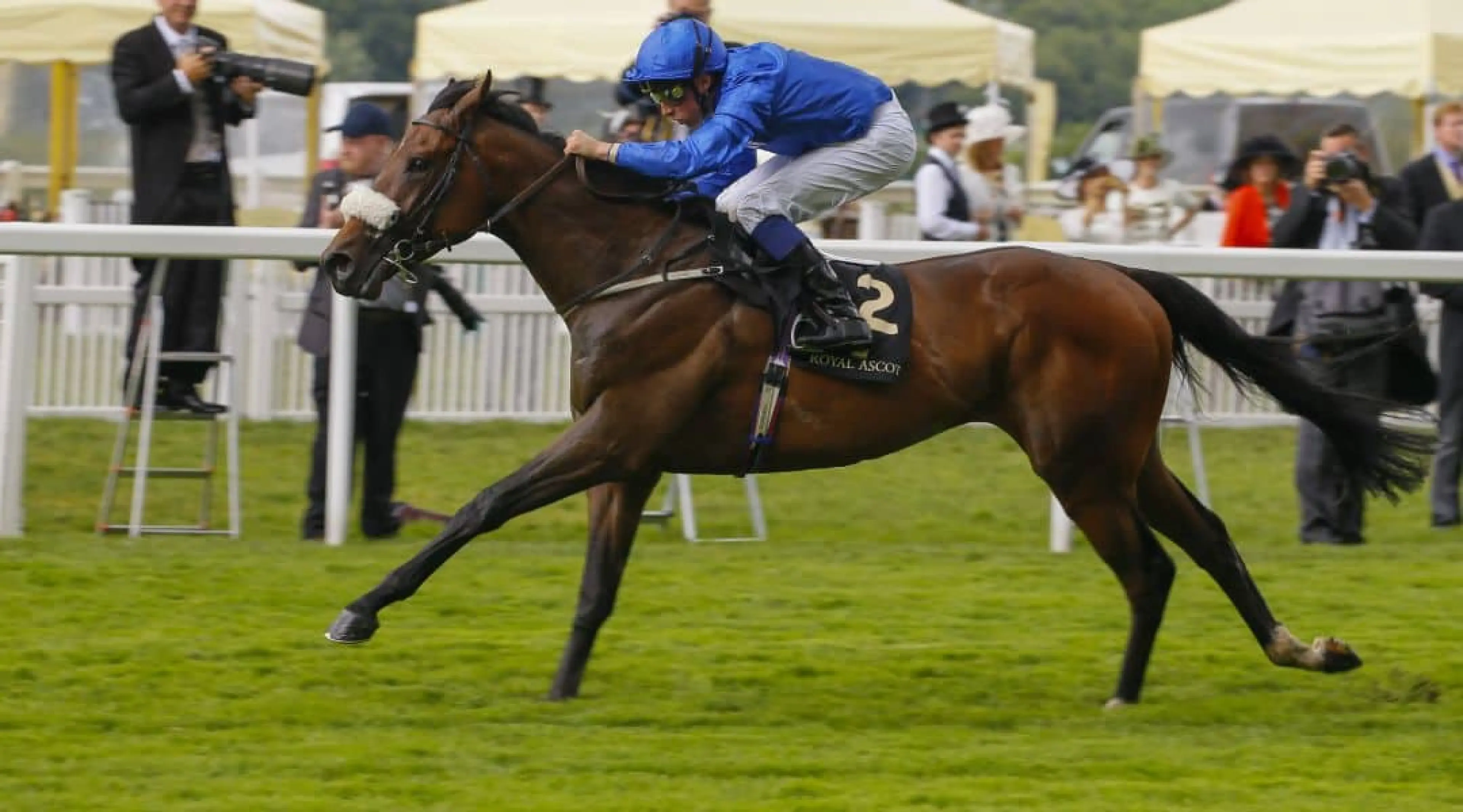 Ribchester - Lockinge Stakes