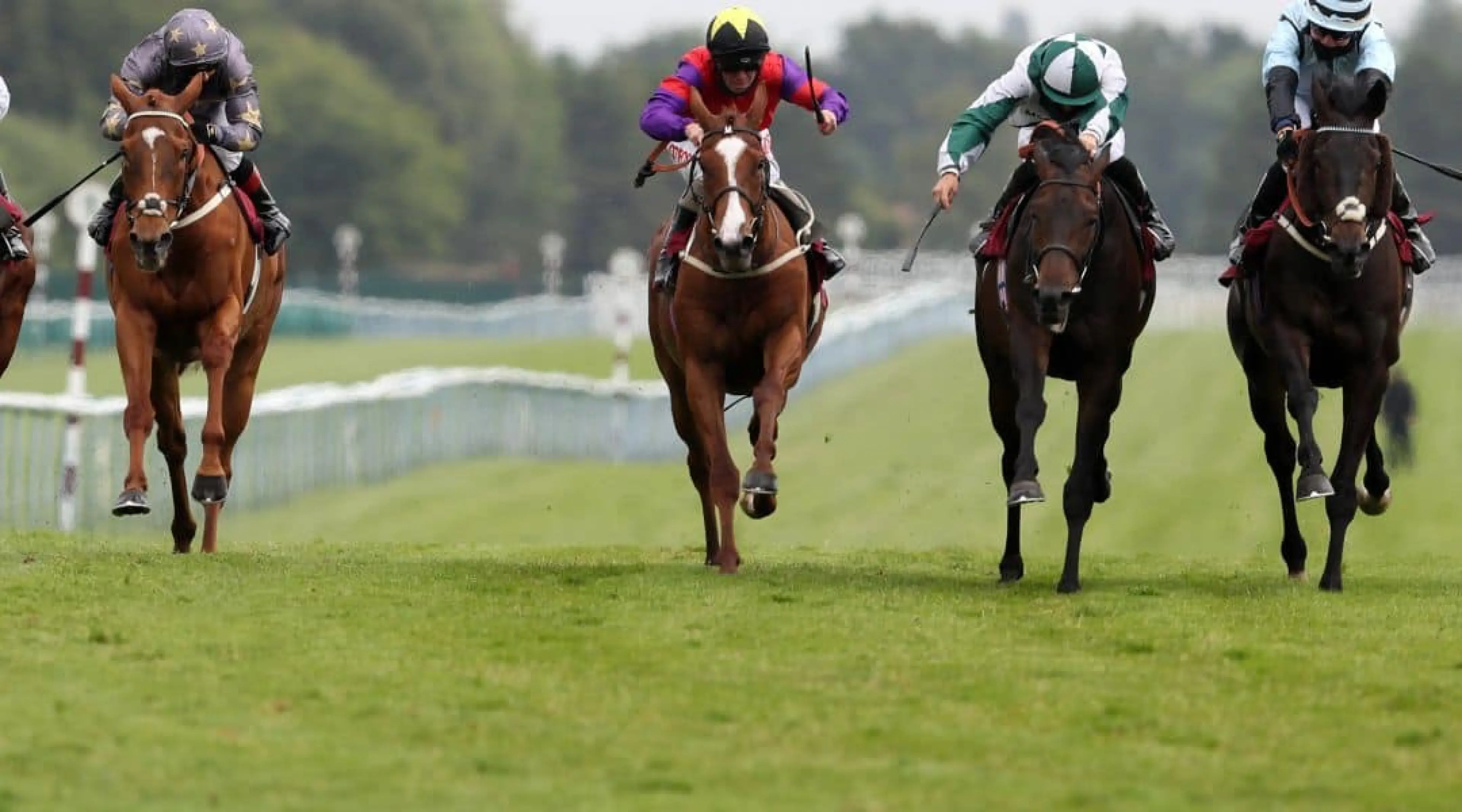 Haydock Park