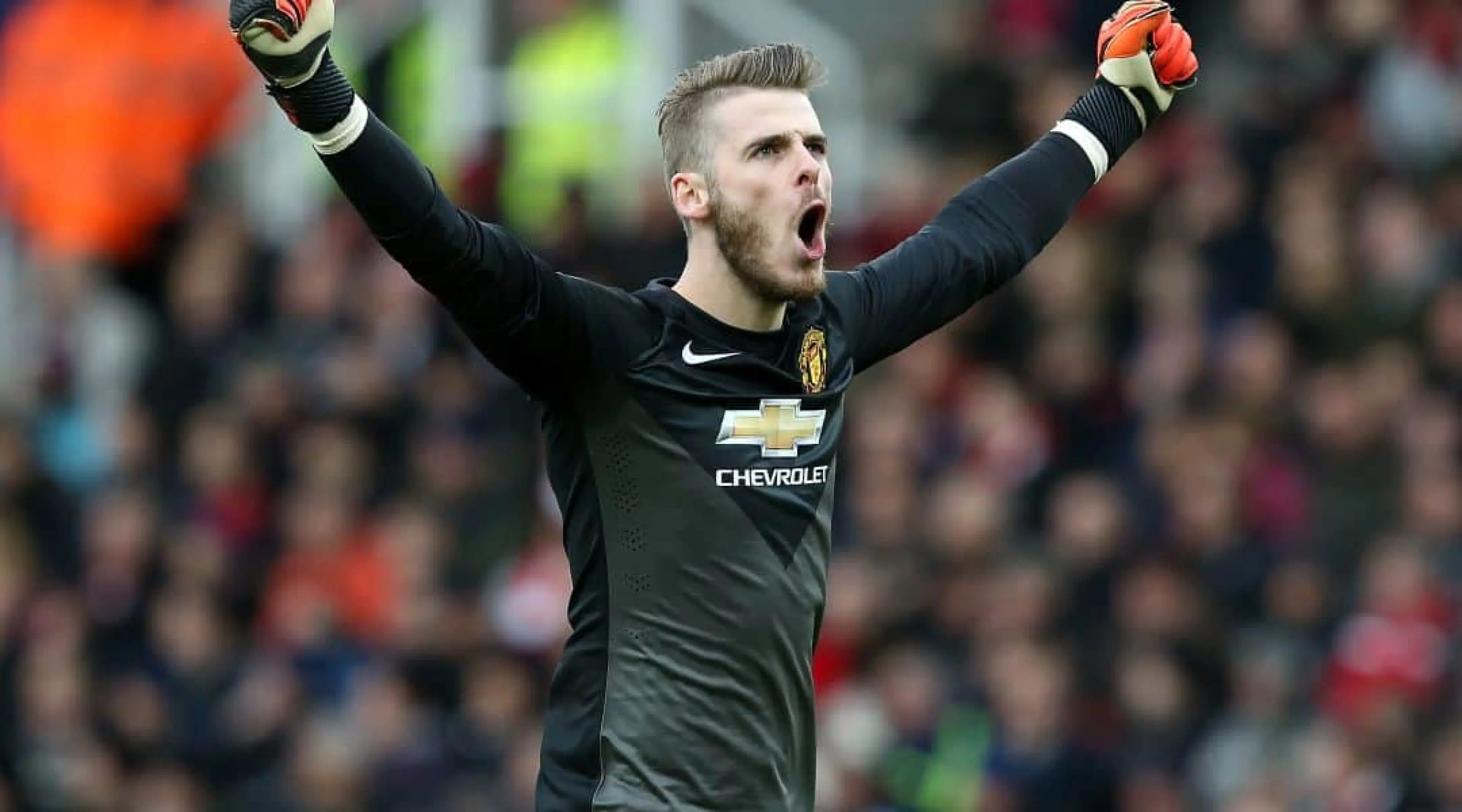 Man United odds,