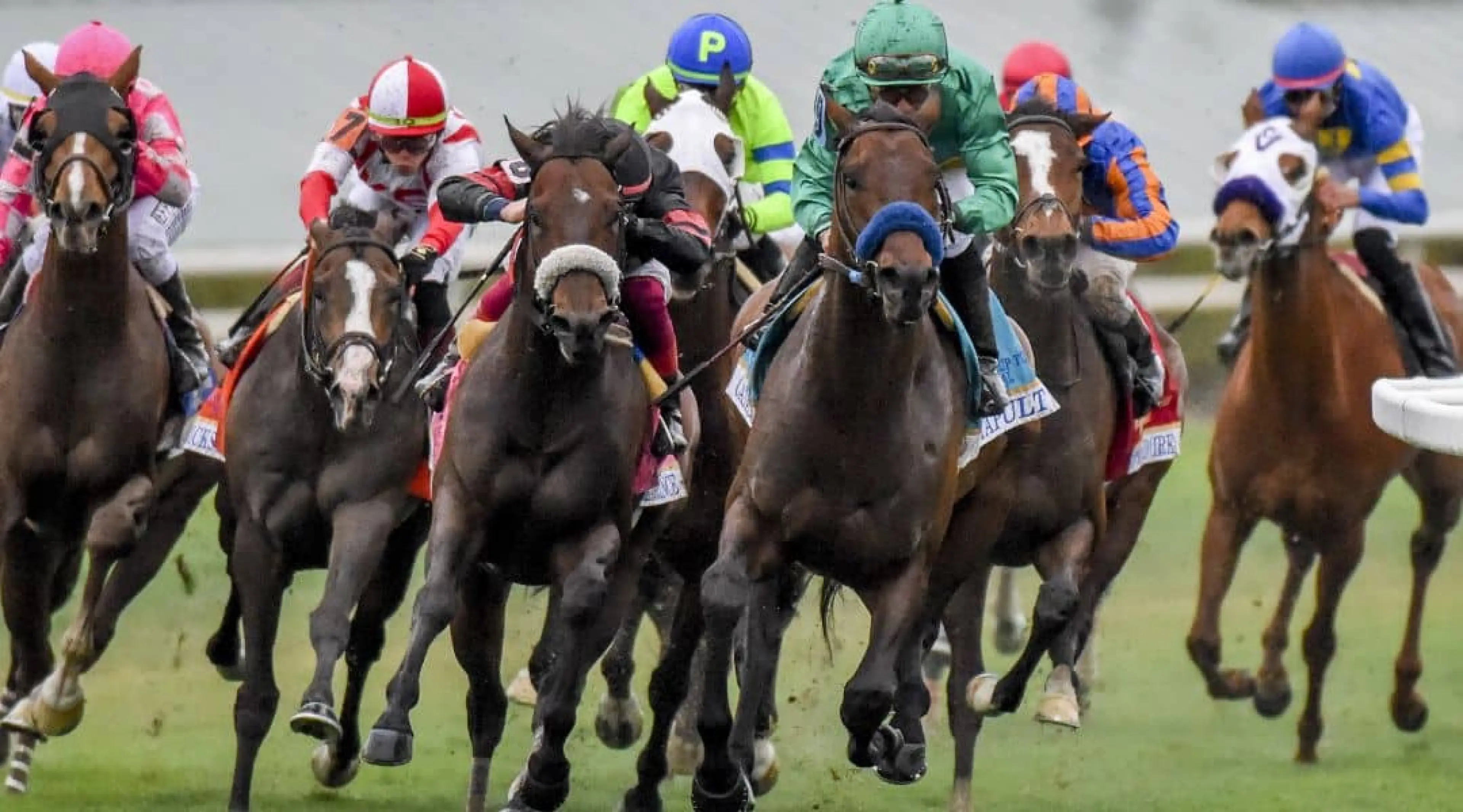 Horse Racing Generic, Bricks and Mortar