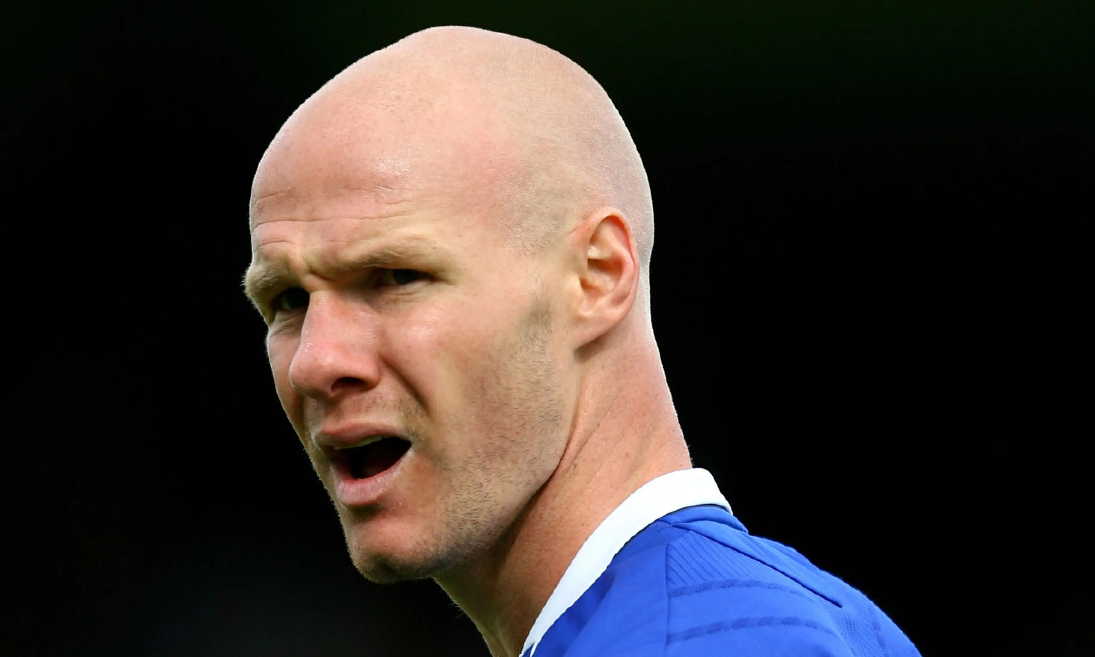 Andy Johnson, Everton