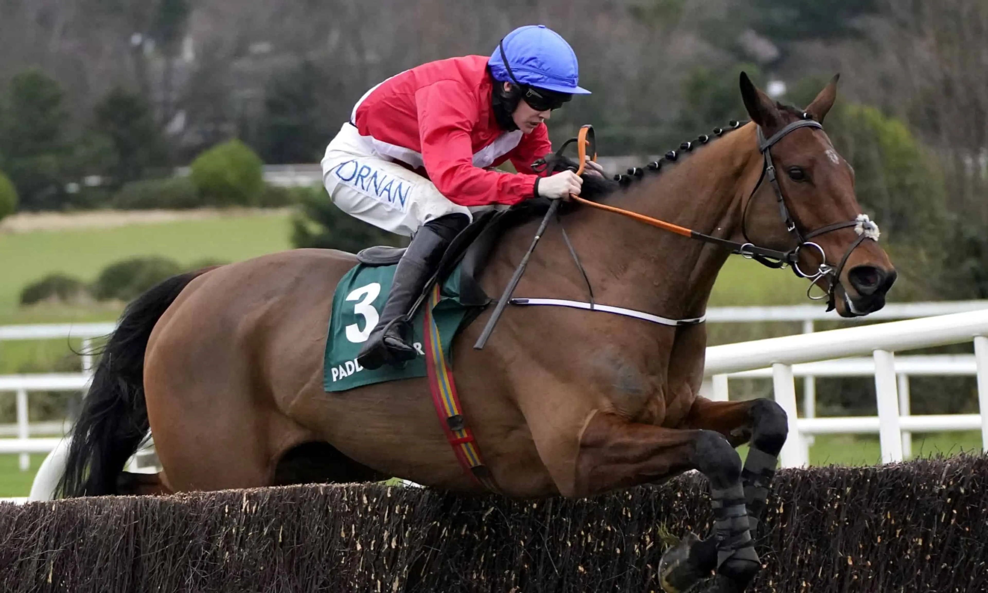 Cheltenham Festival 2025 Everything you need to know