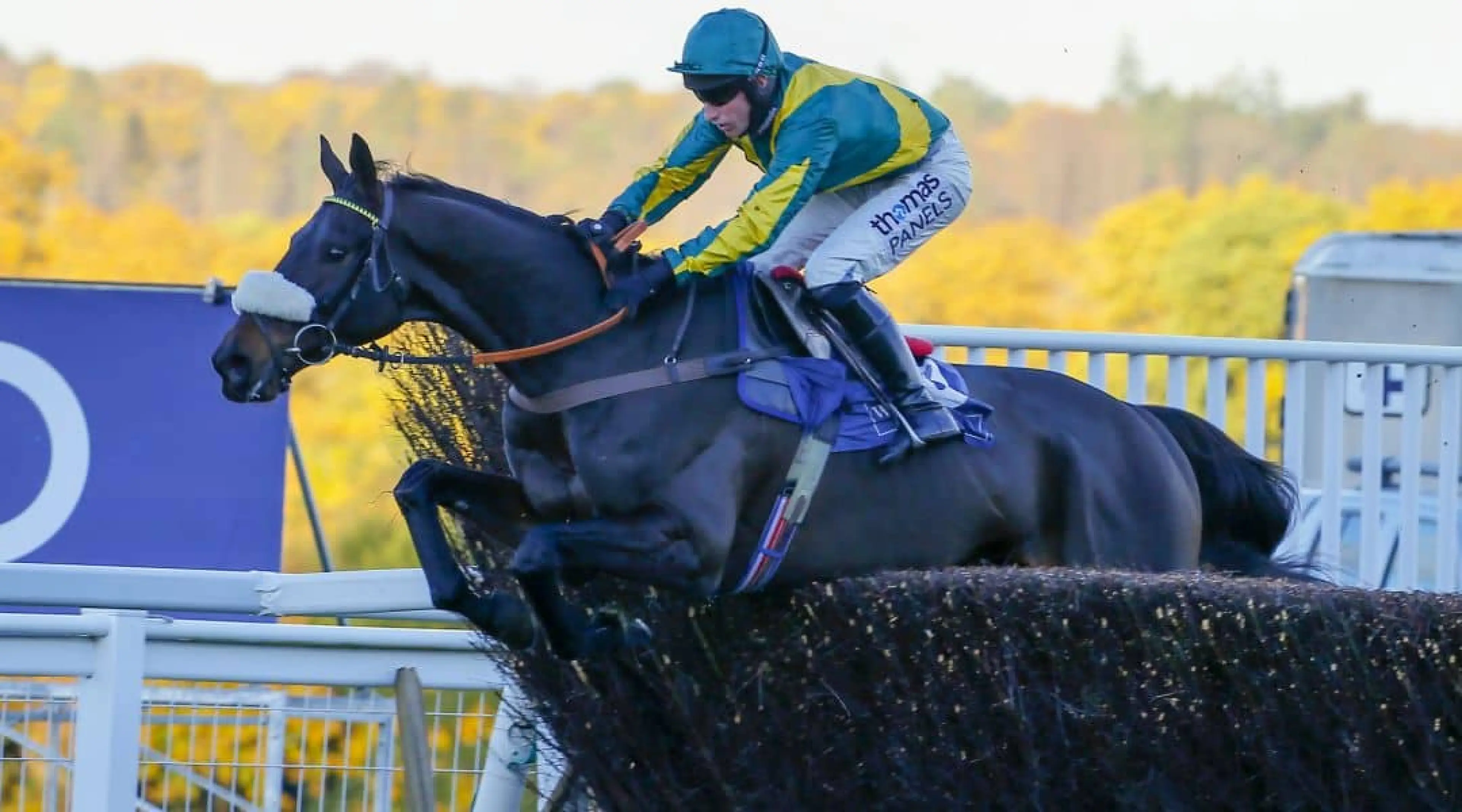 Present Man - Grimthorpe Chase odds