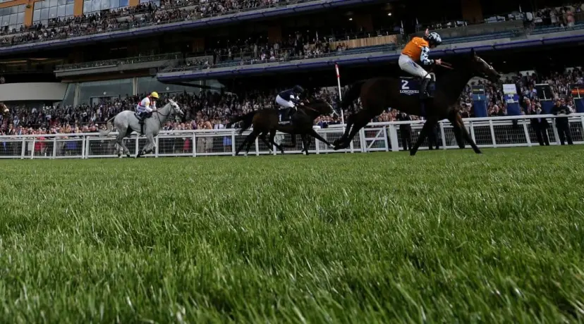 Ascot