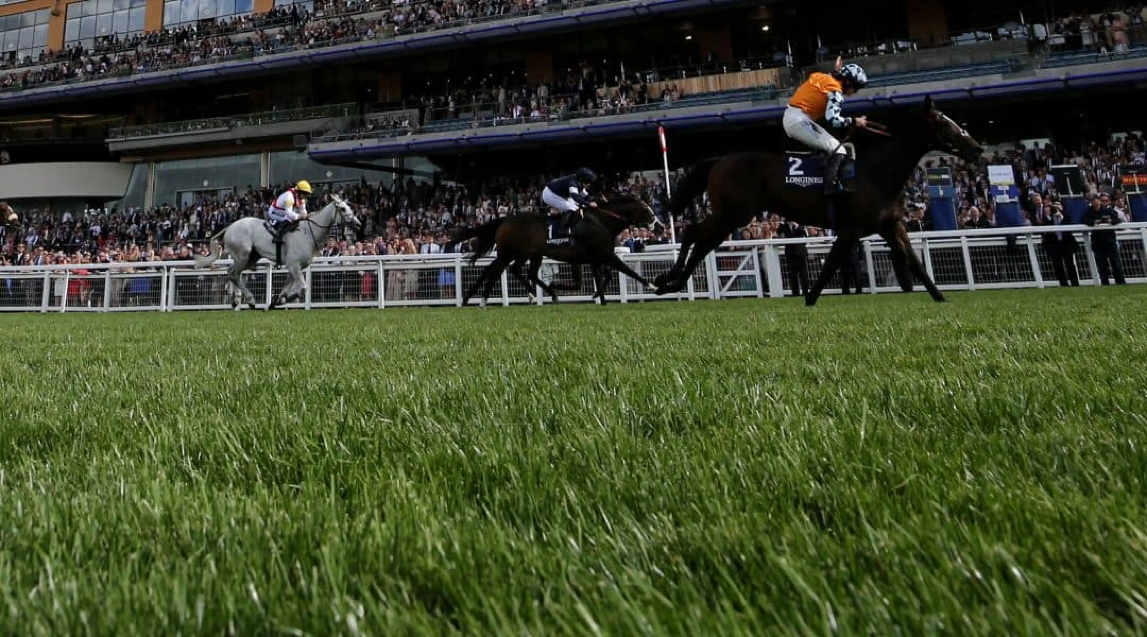 Ascot