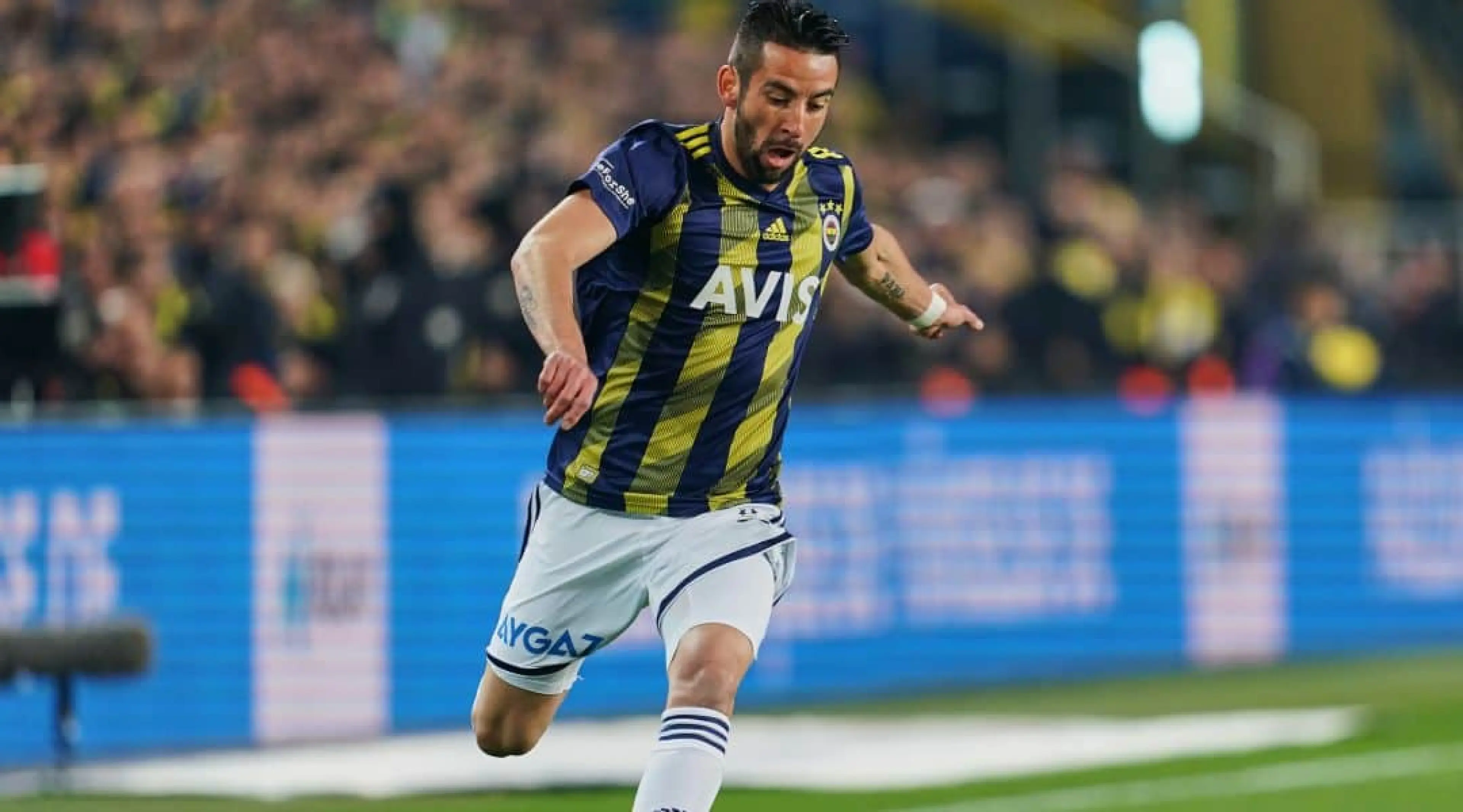 Mauricio Isla