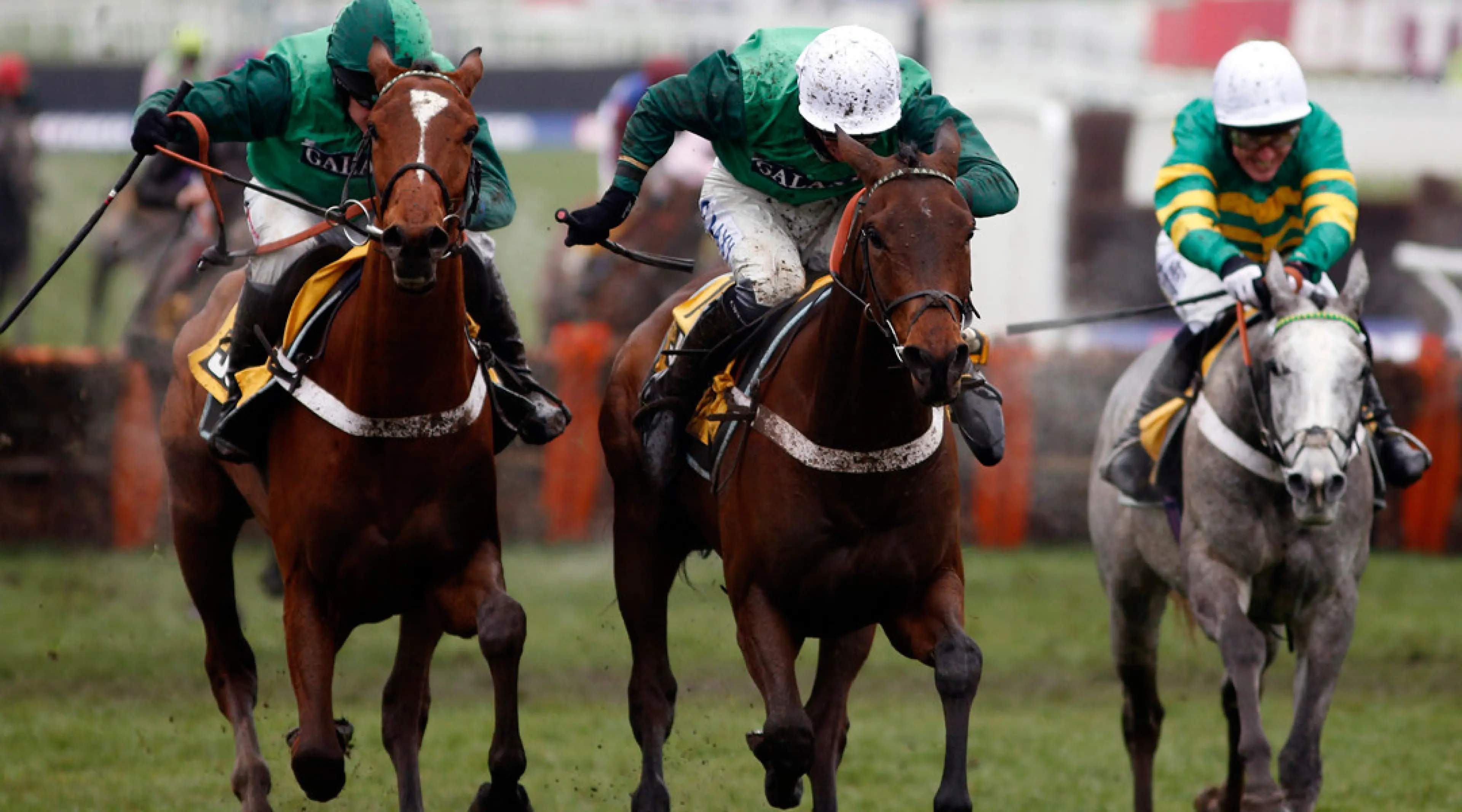 Peace and Co (L) on the way to Triumph Hurdle victory
