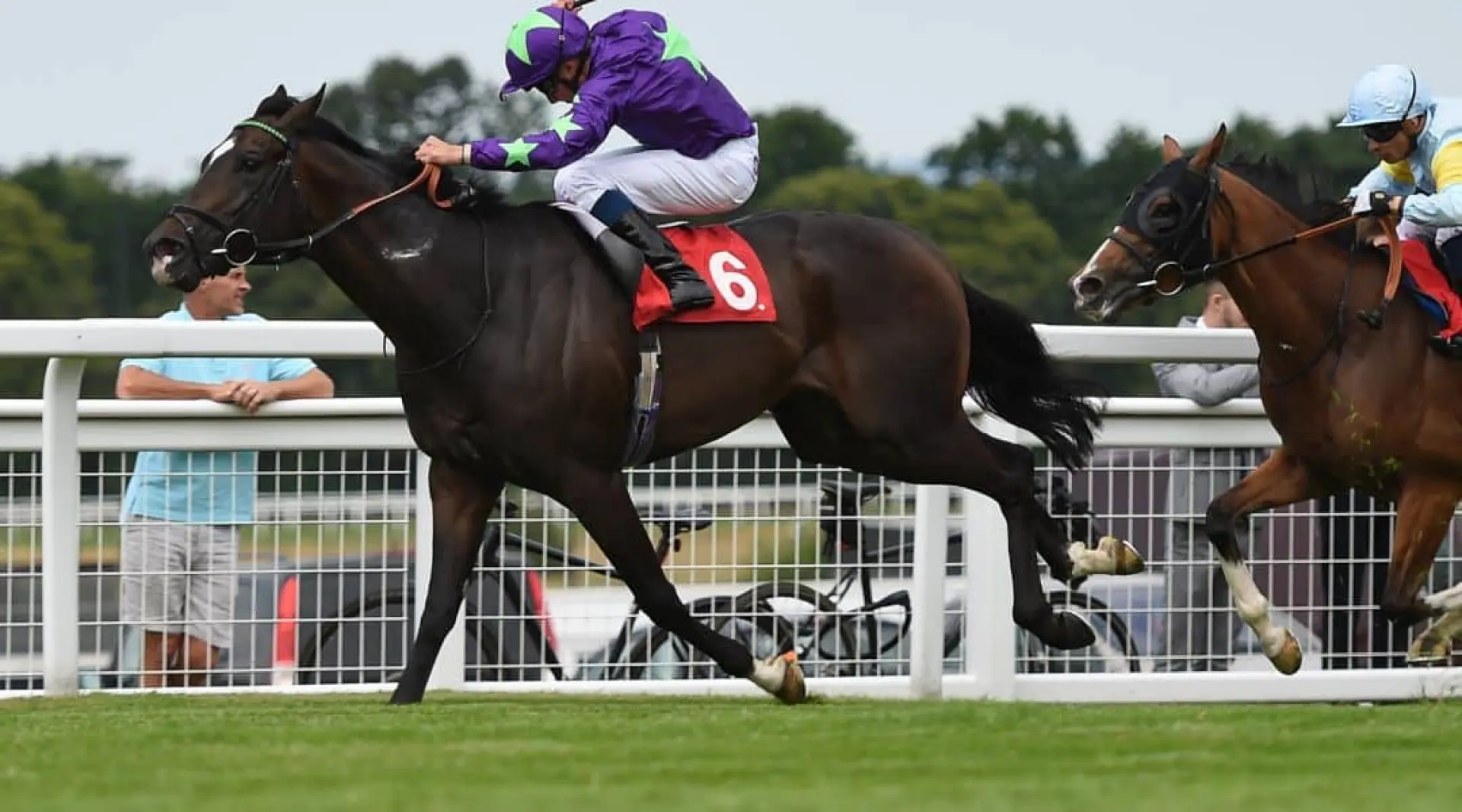Mojito odds, Newmarket odds, Ascot Challenge Cup odds, Newmarket odds
