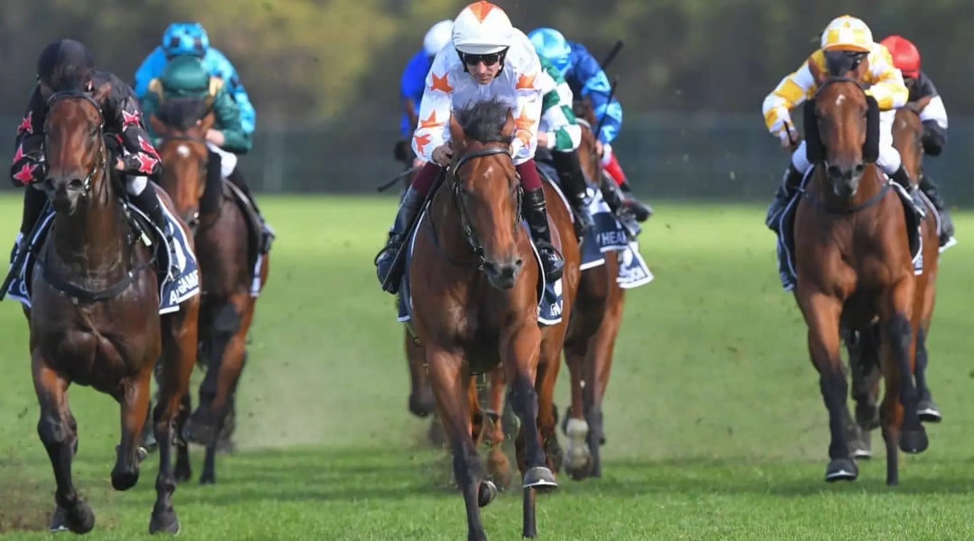 Horse Racing, Glass Slipper