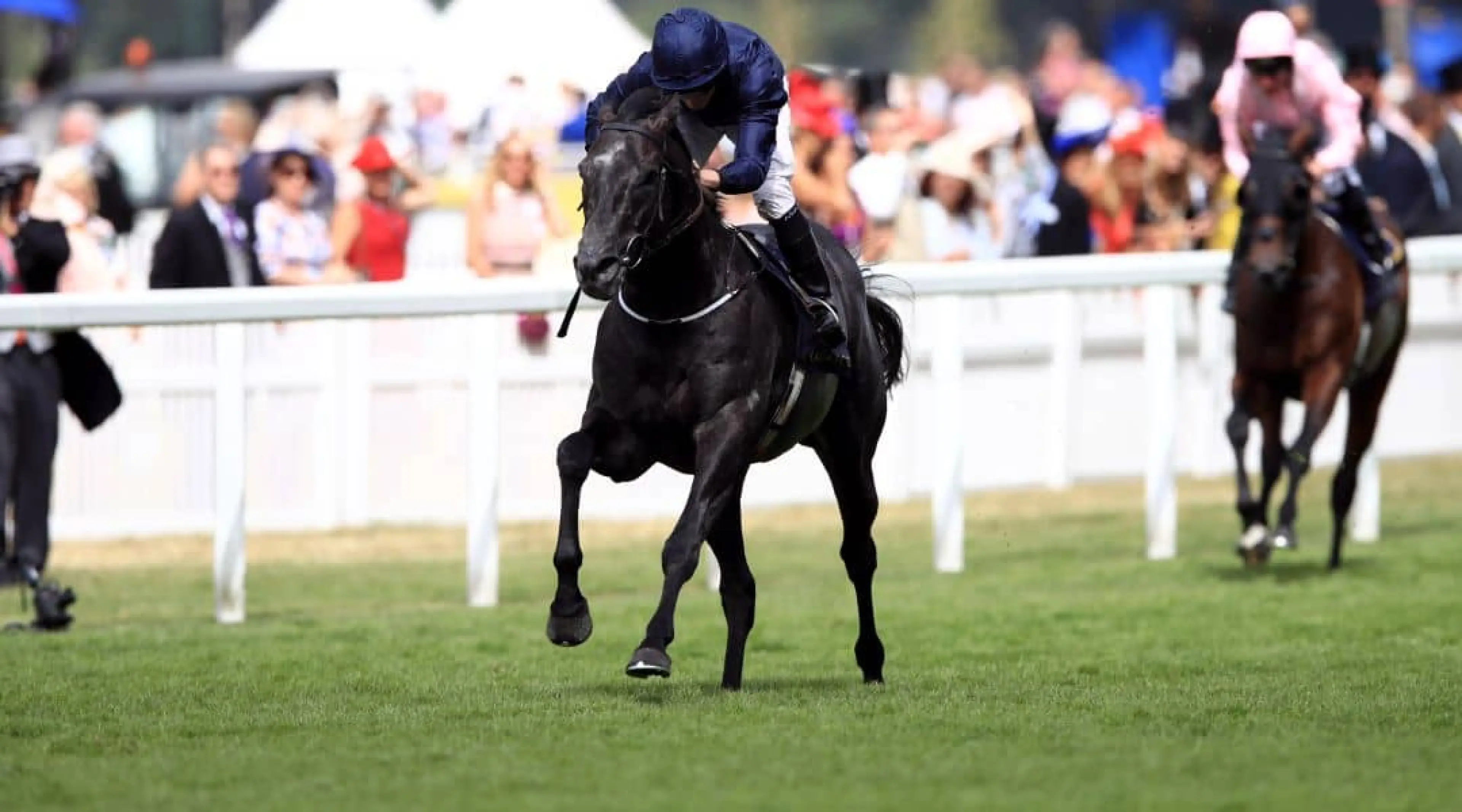 Caravaggio odds