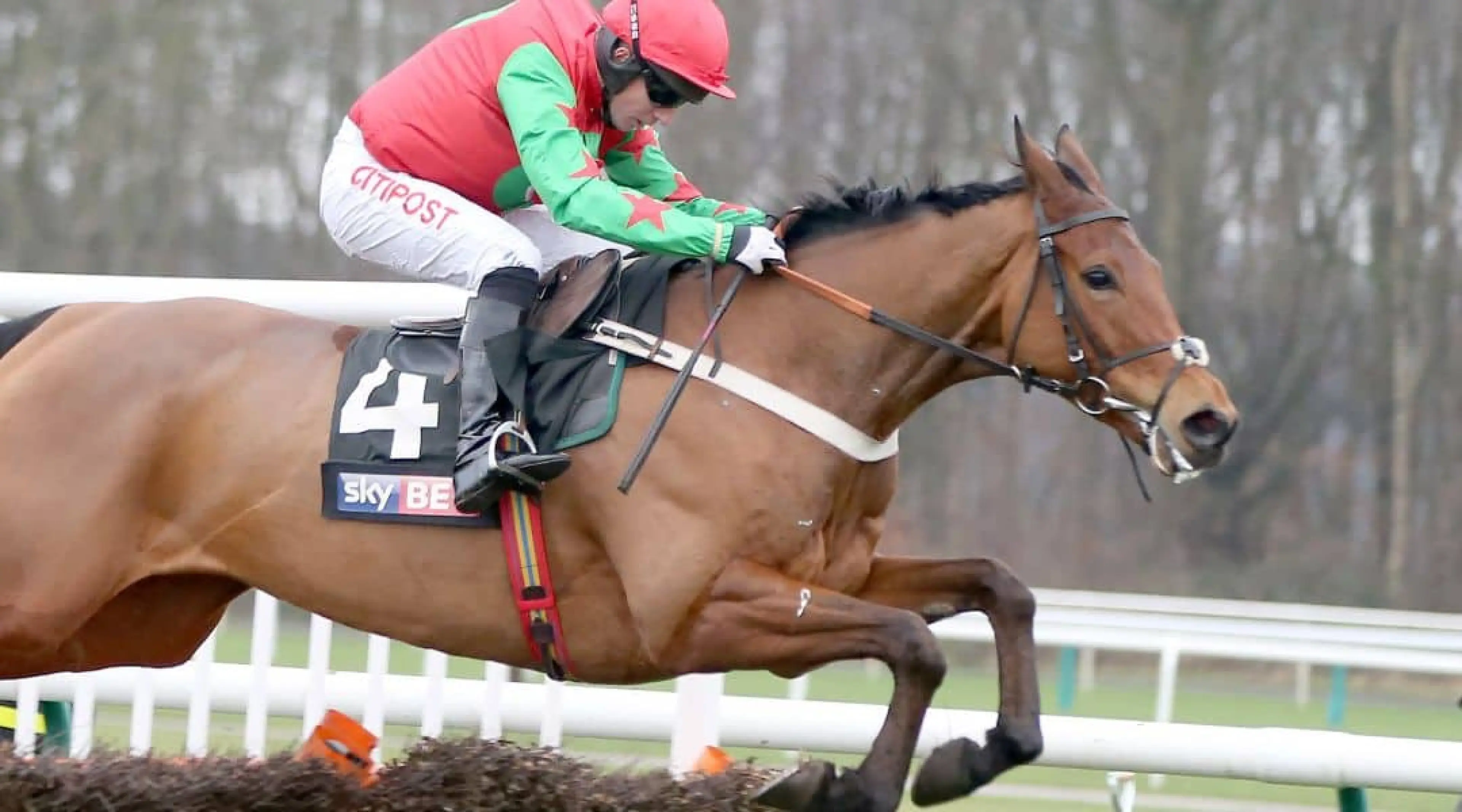 Cheltenham Festival 2025 Everything you need to know