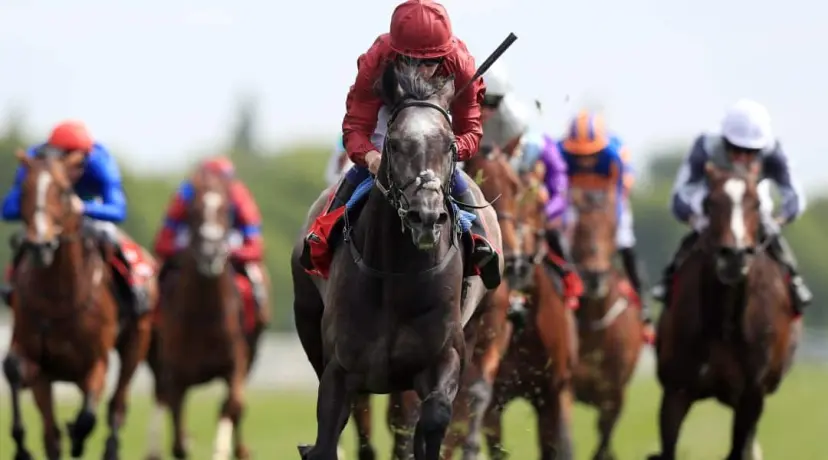 Roaring Lion
