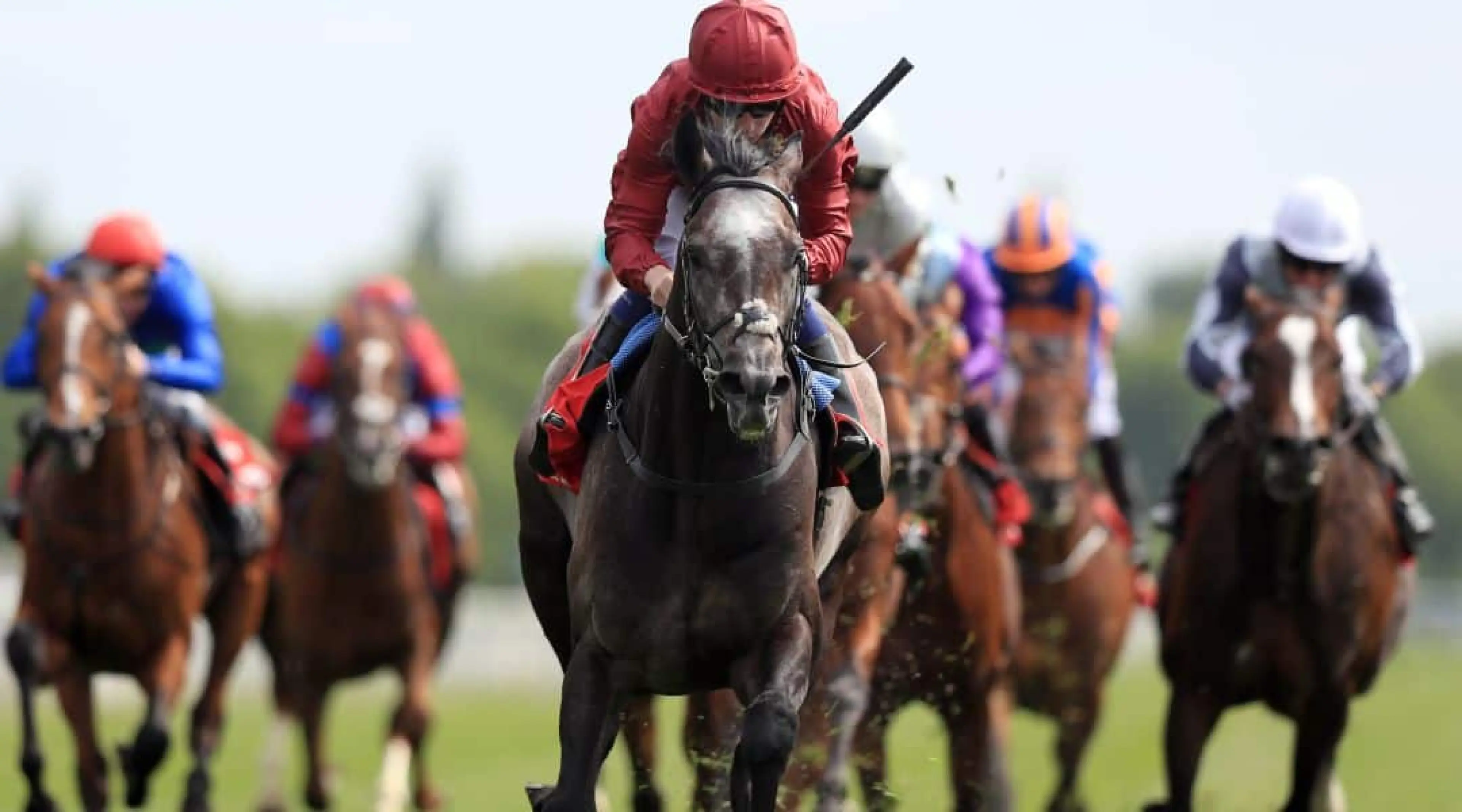 Roaring Lion