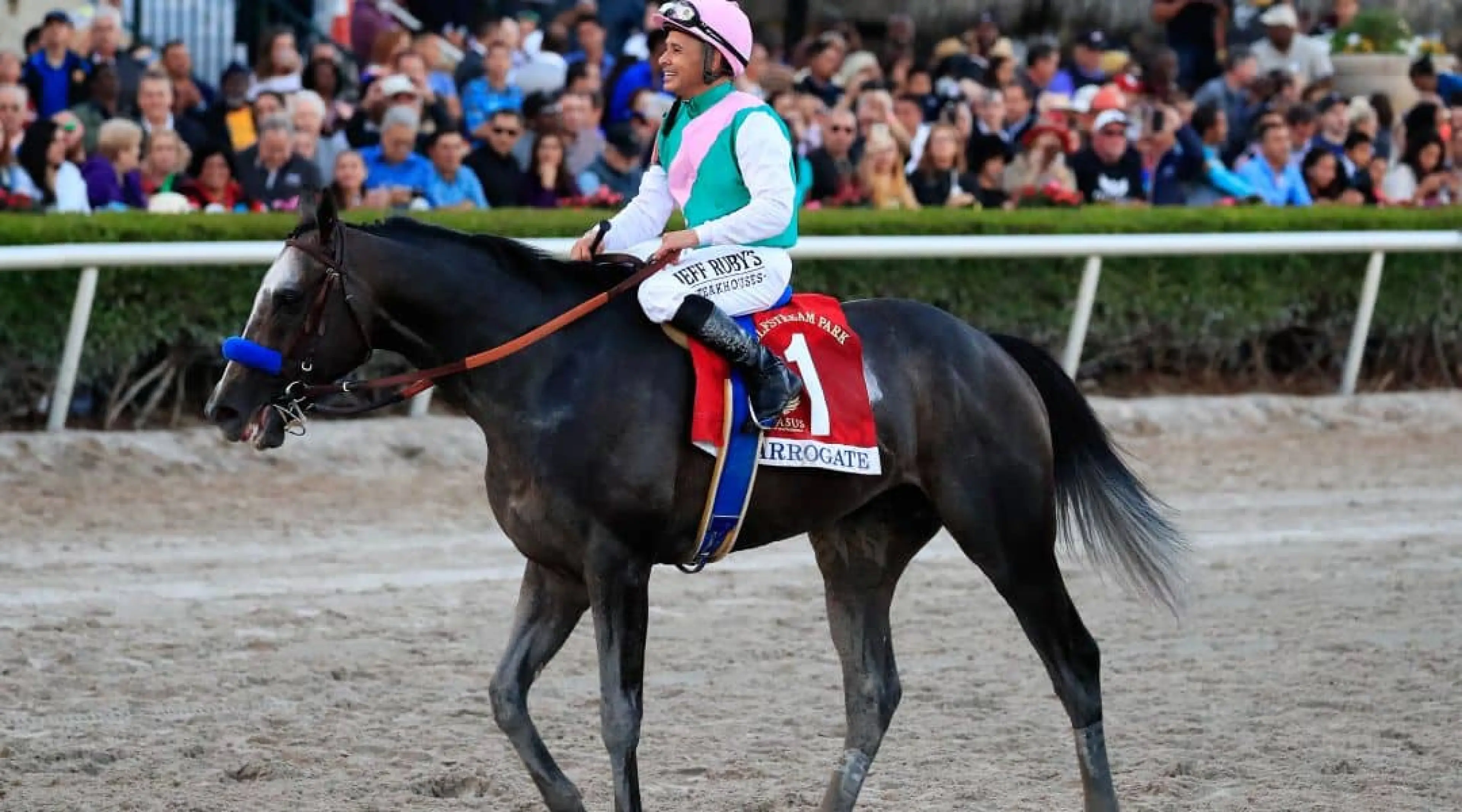 Arrogate - Dubai World Cup odds