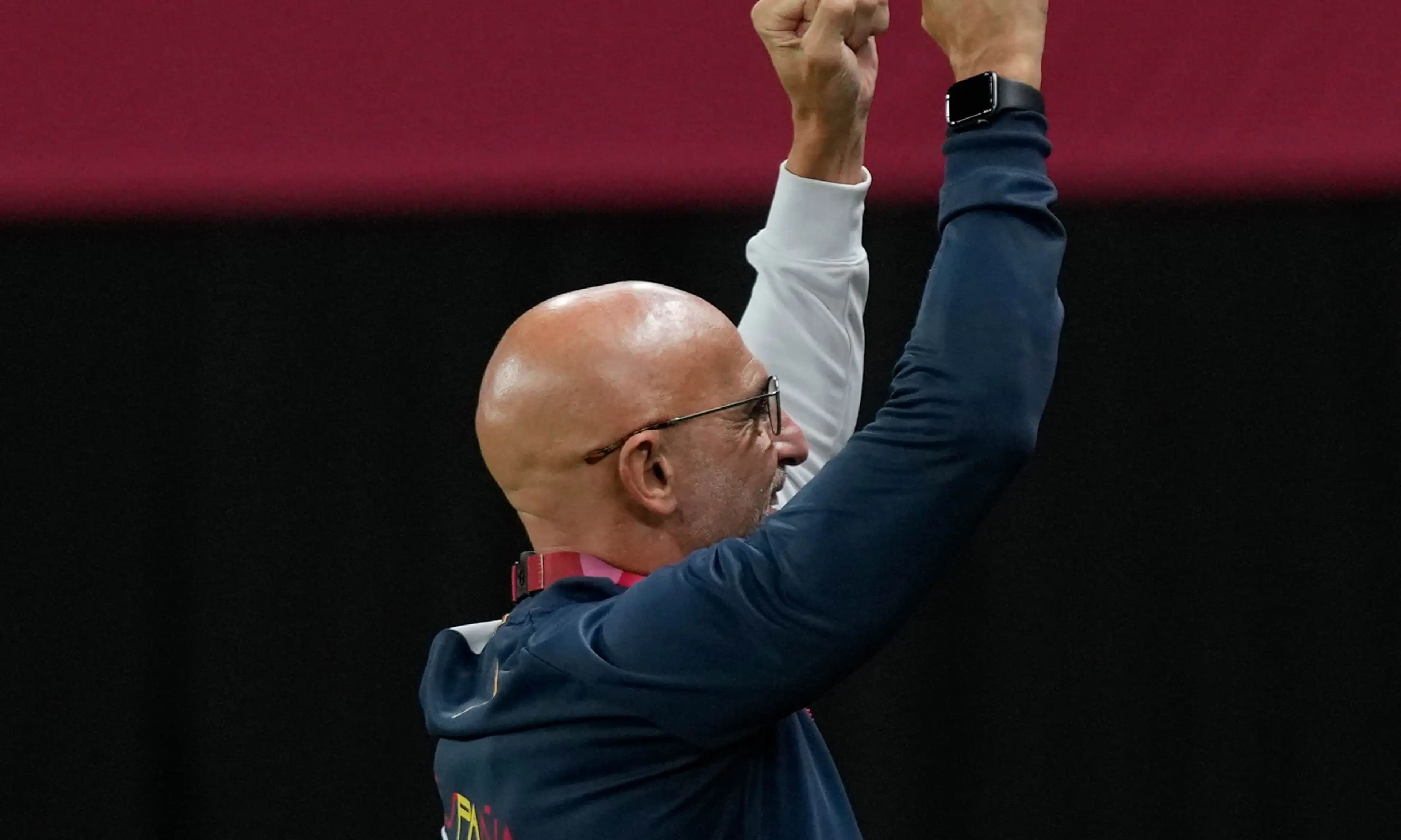 Luis de la Fuente, Spain, Spain v Ivory Coast betting tips