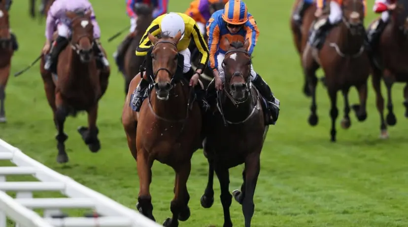 Goodwood Cup odds