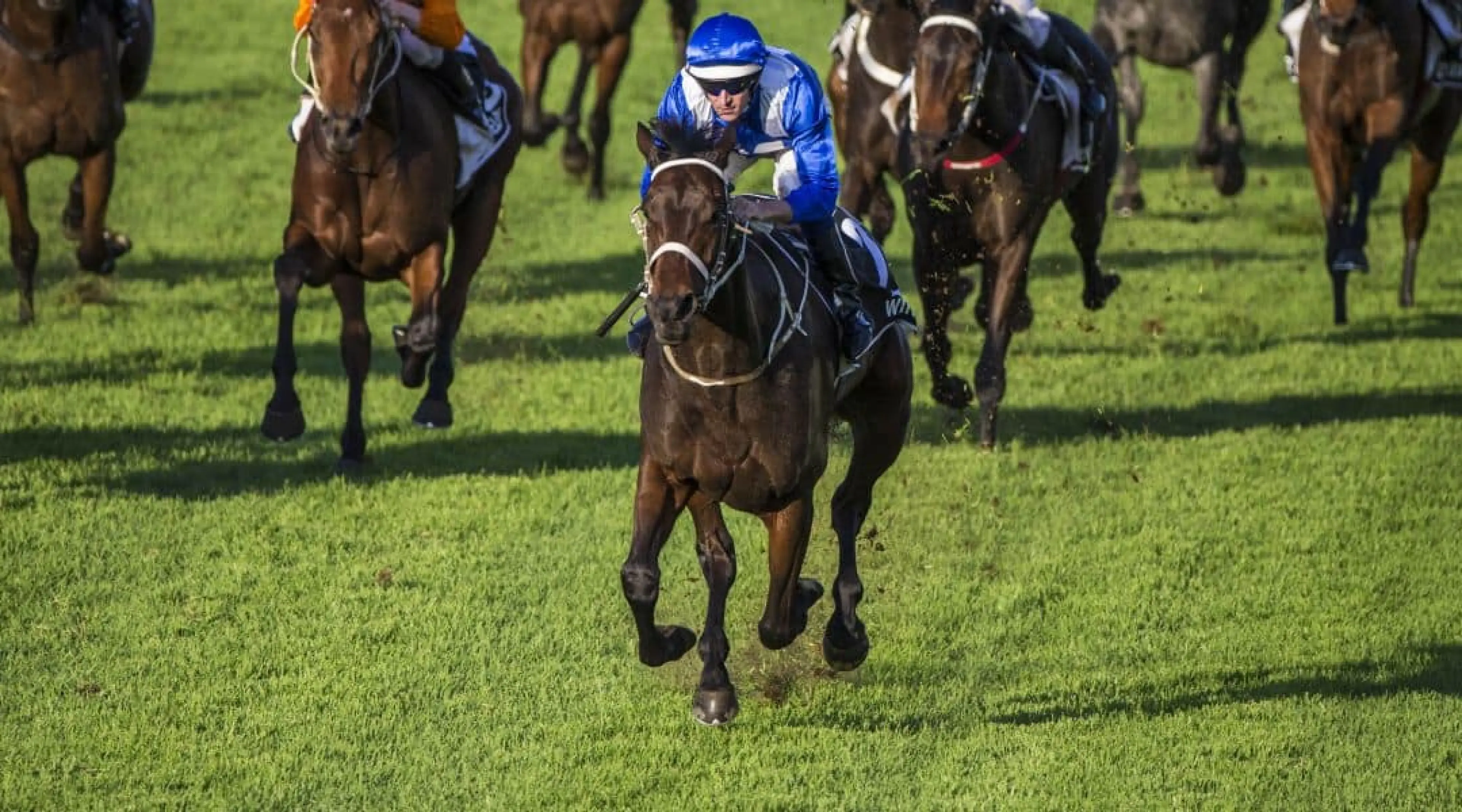 Winx odds
