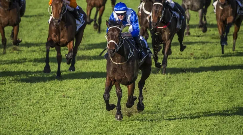 Winx odds
