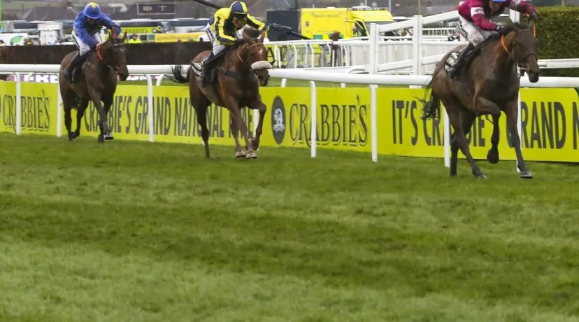 The Last Samuri - Grand National odds