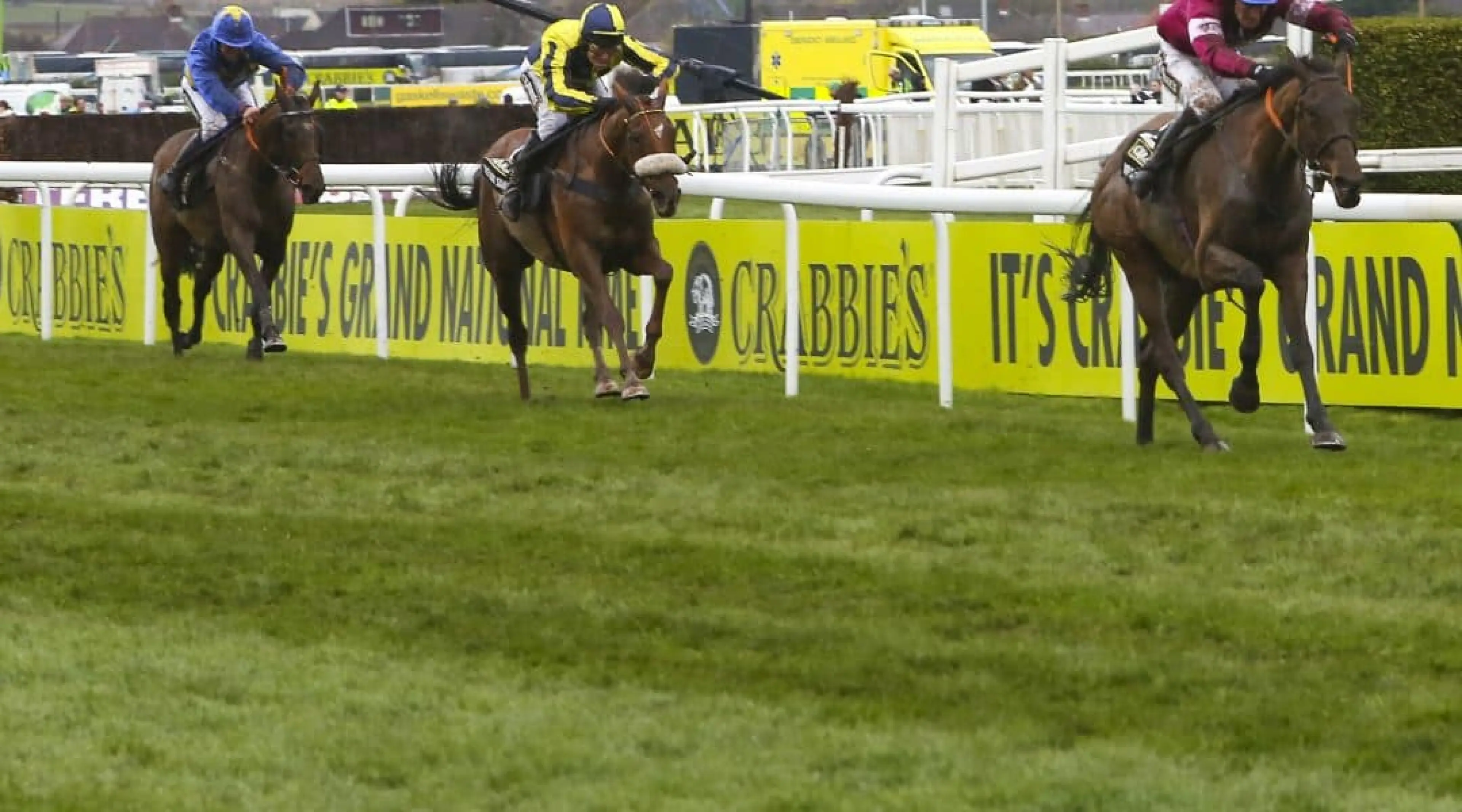 The Last Samuri - Grand National odds