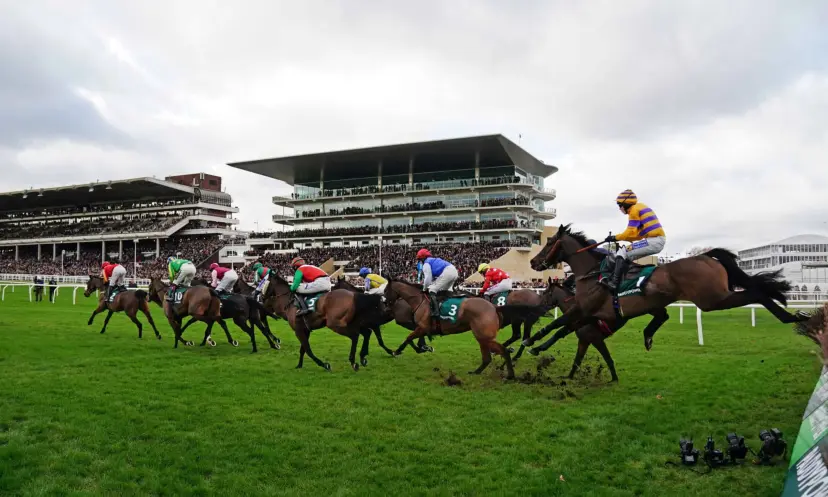 Cheltenham Festival key statistics