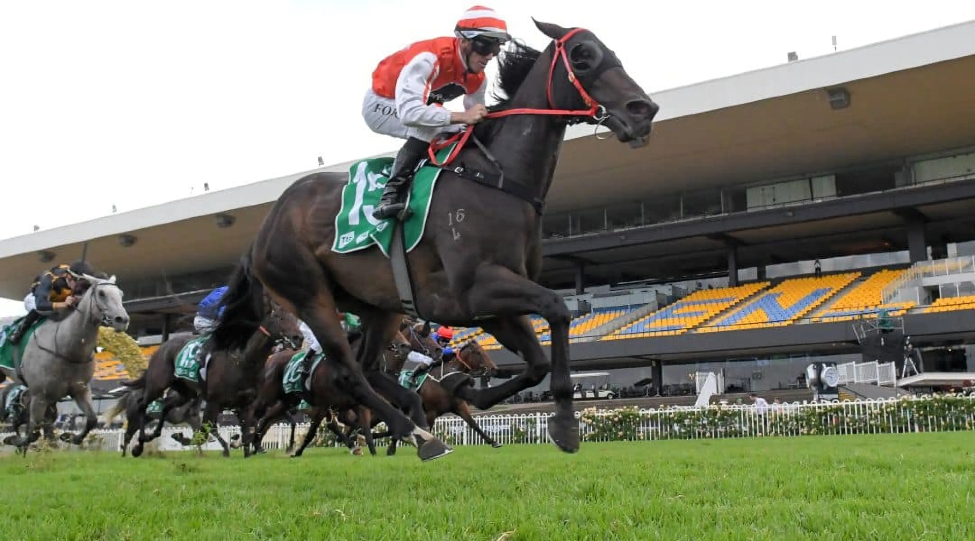 Horse Racing Generic