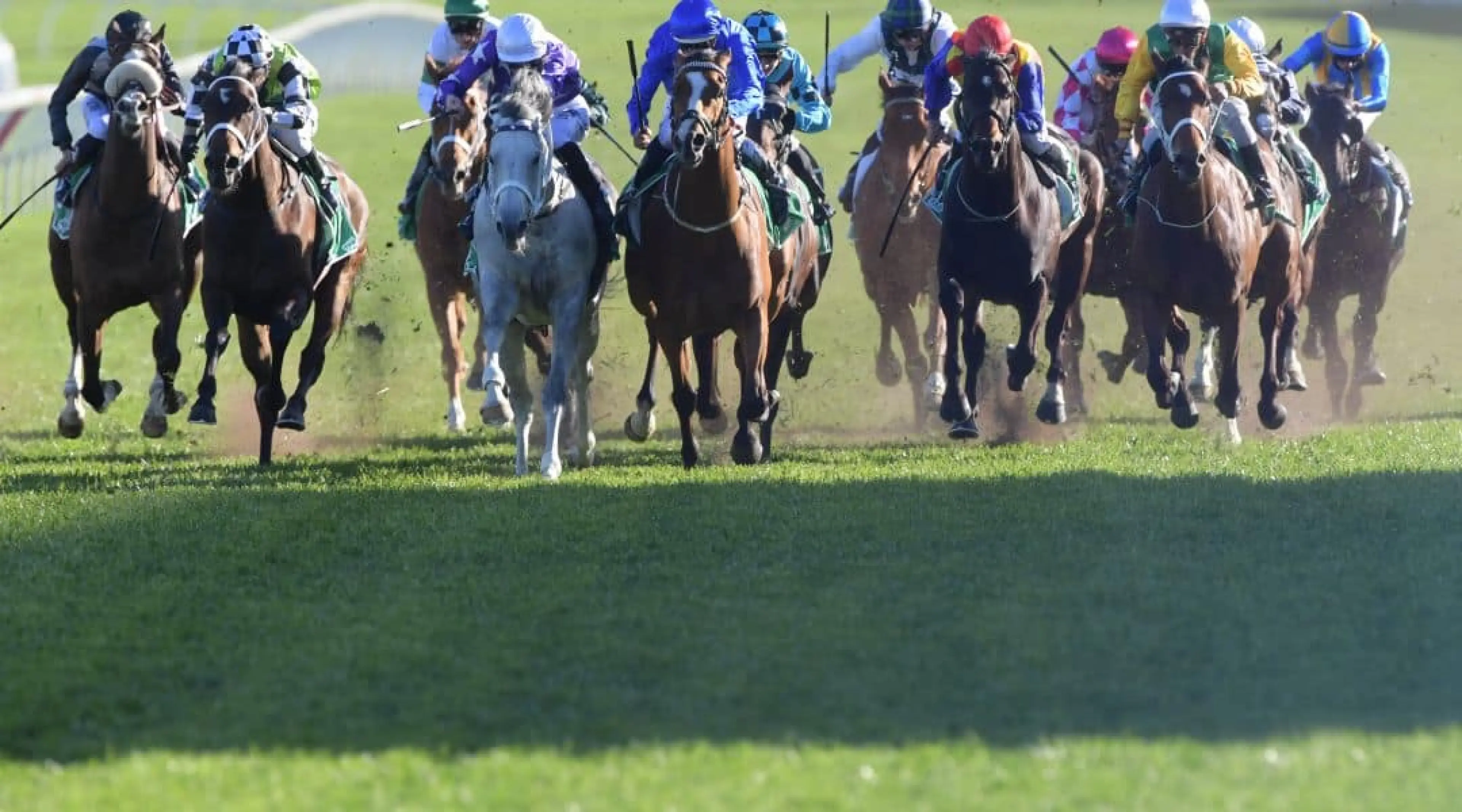 Royal Randwick