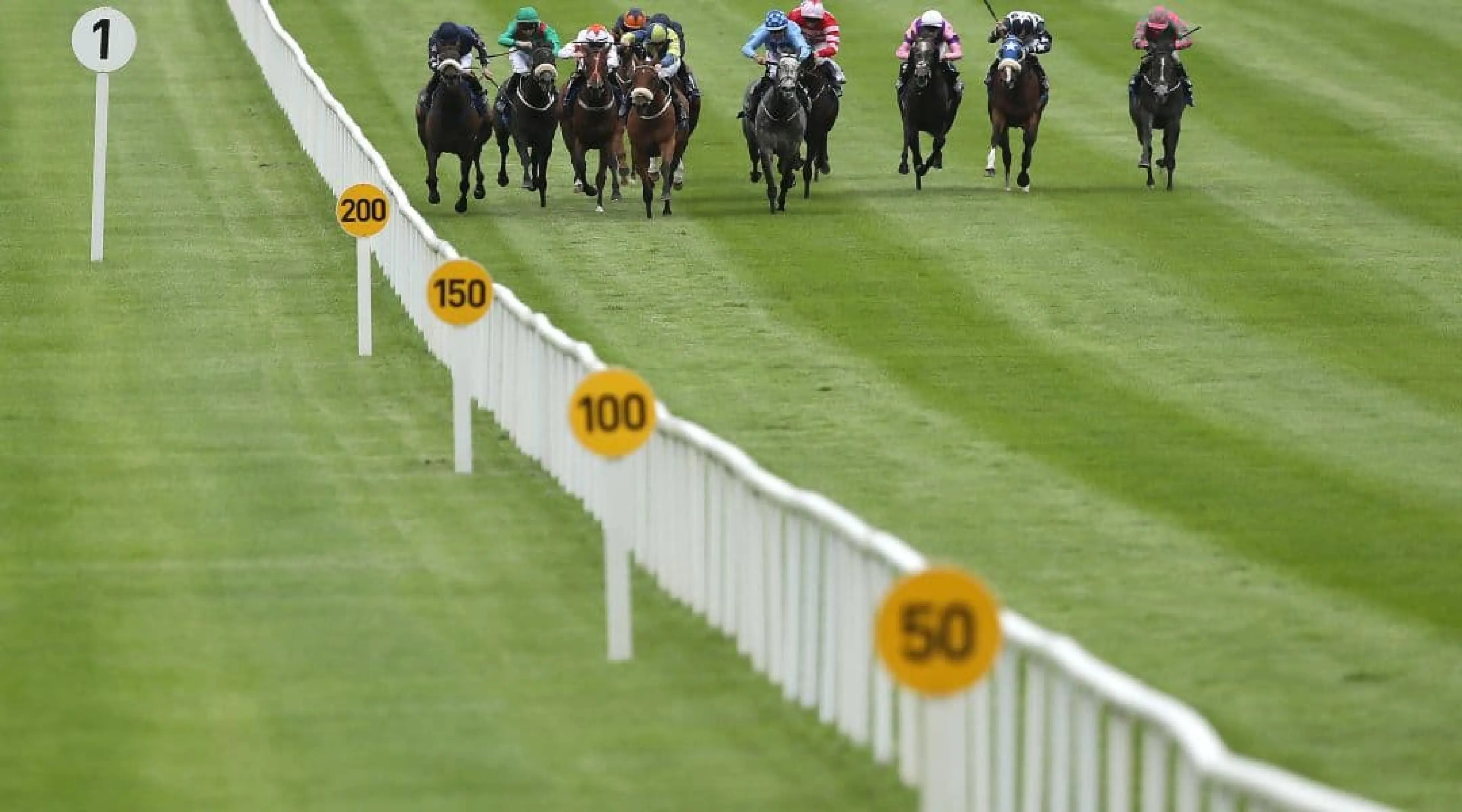 The Curragh Racing