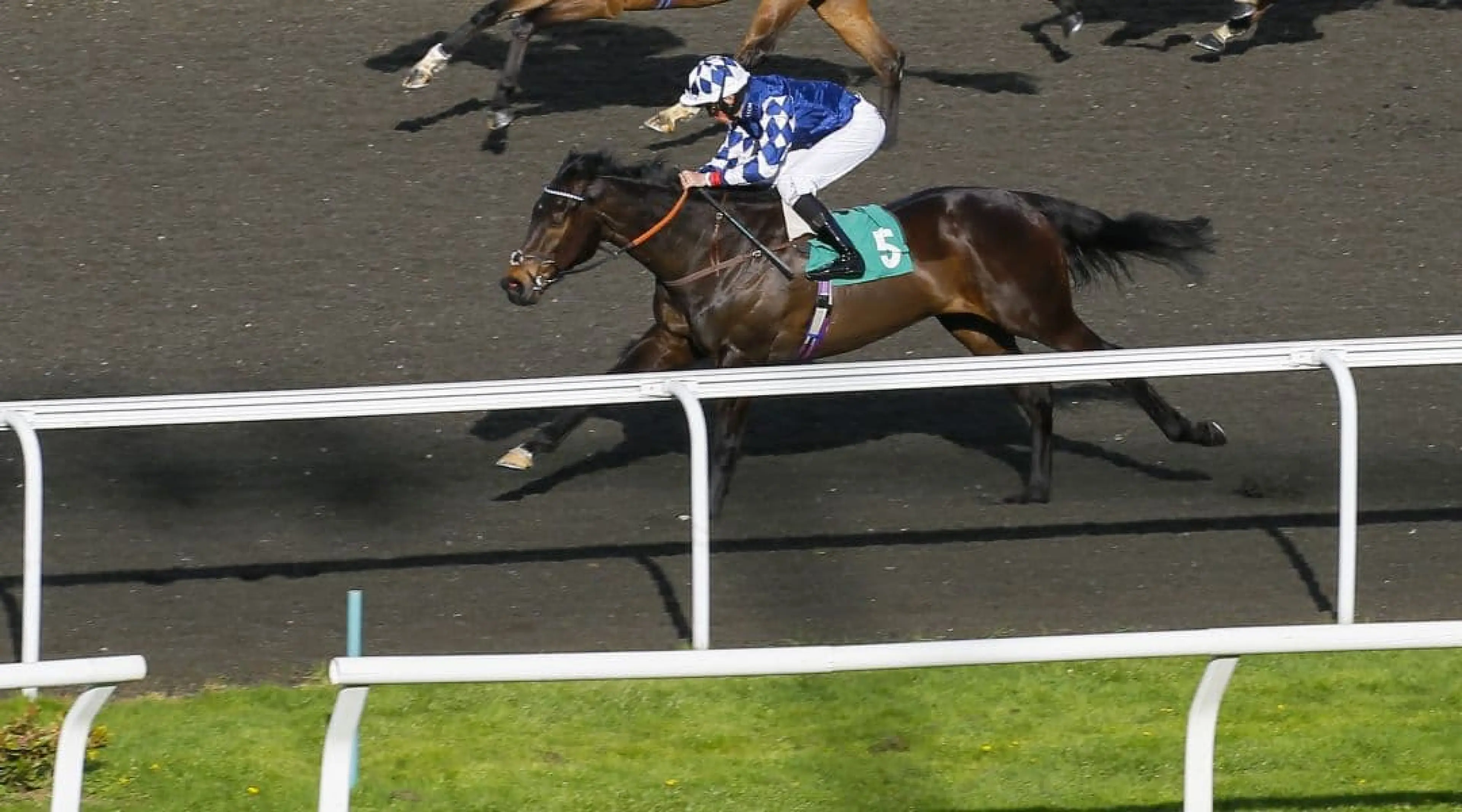 Blakeney Point - Chester Cup odds
