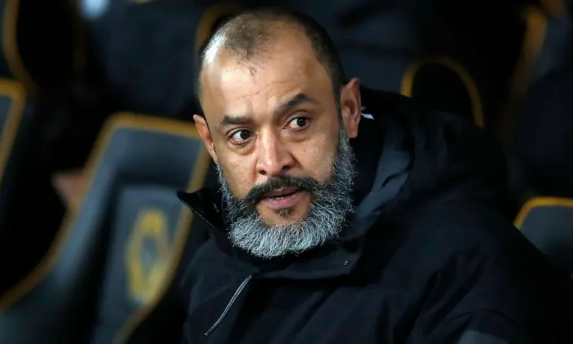 Nuno Espirito Santo Wolves