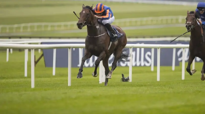 Royal Ascot odds