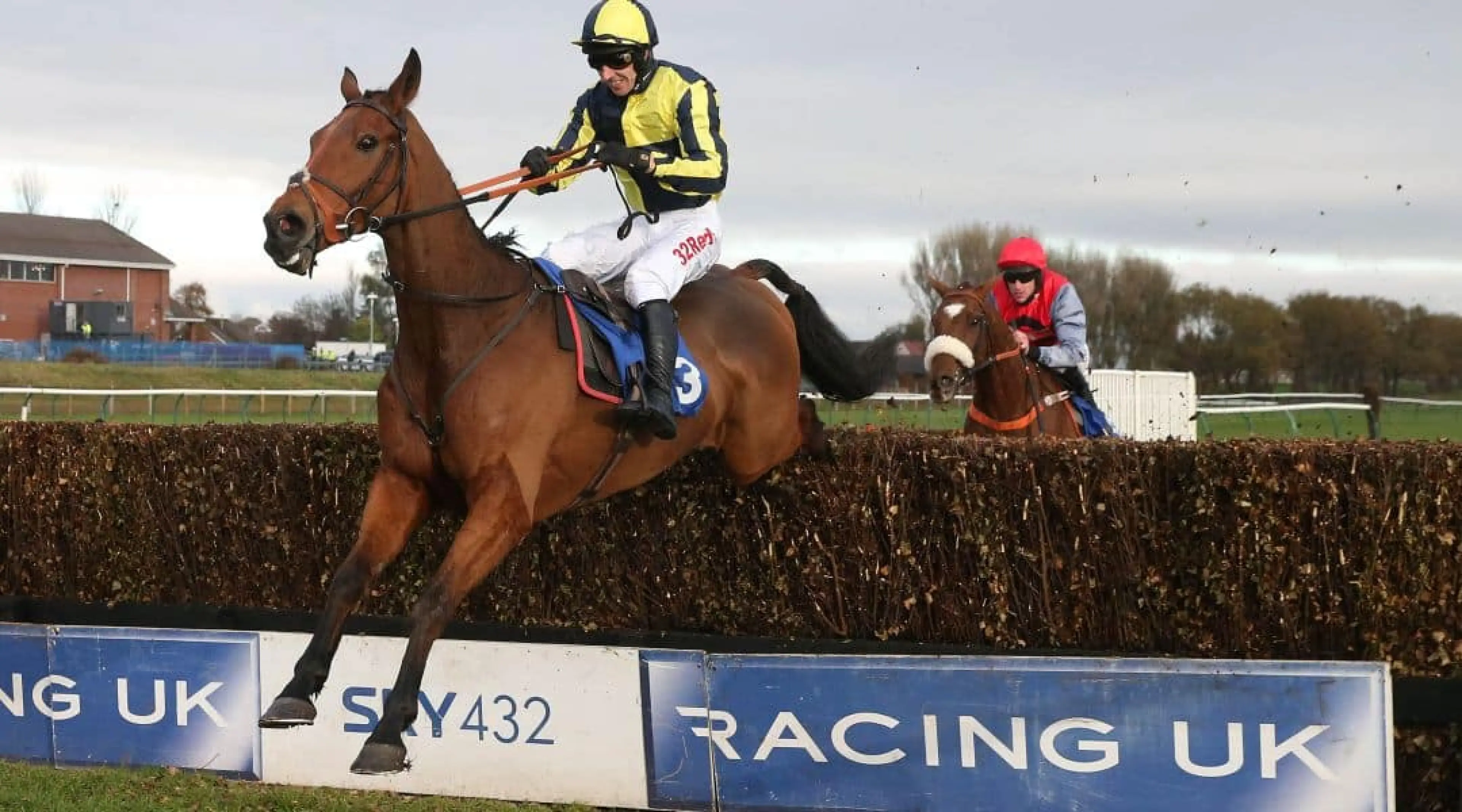 Viva Steve - BetBright Chase odds