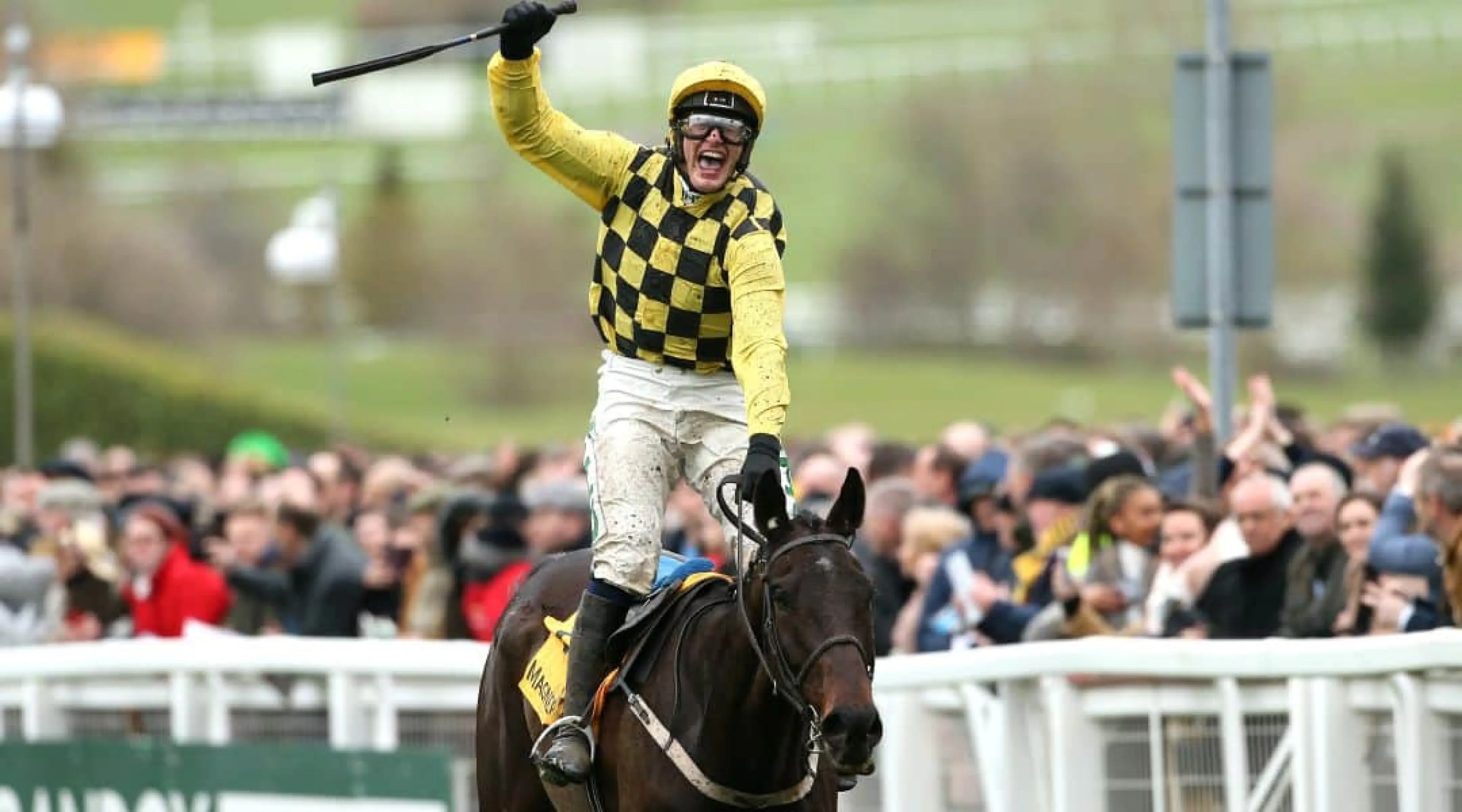Paul Townend horse racing