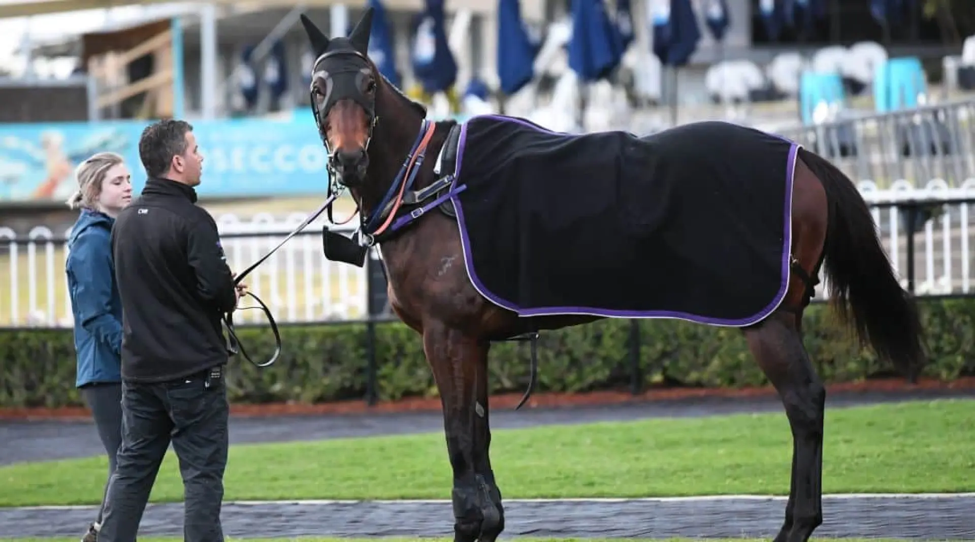 Winx Horse Racing Royal Ascot odds