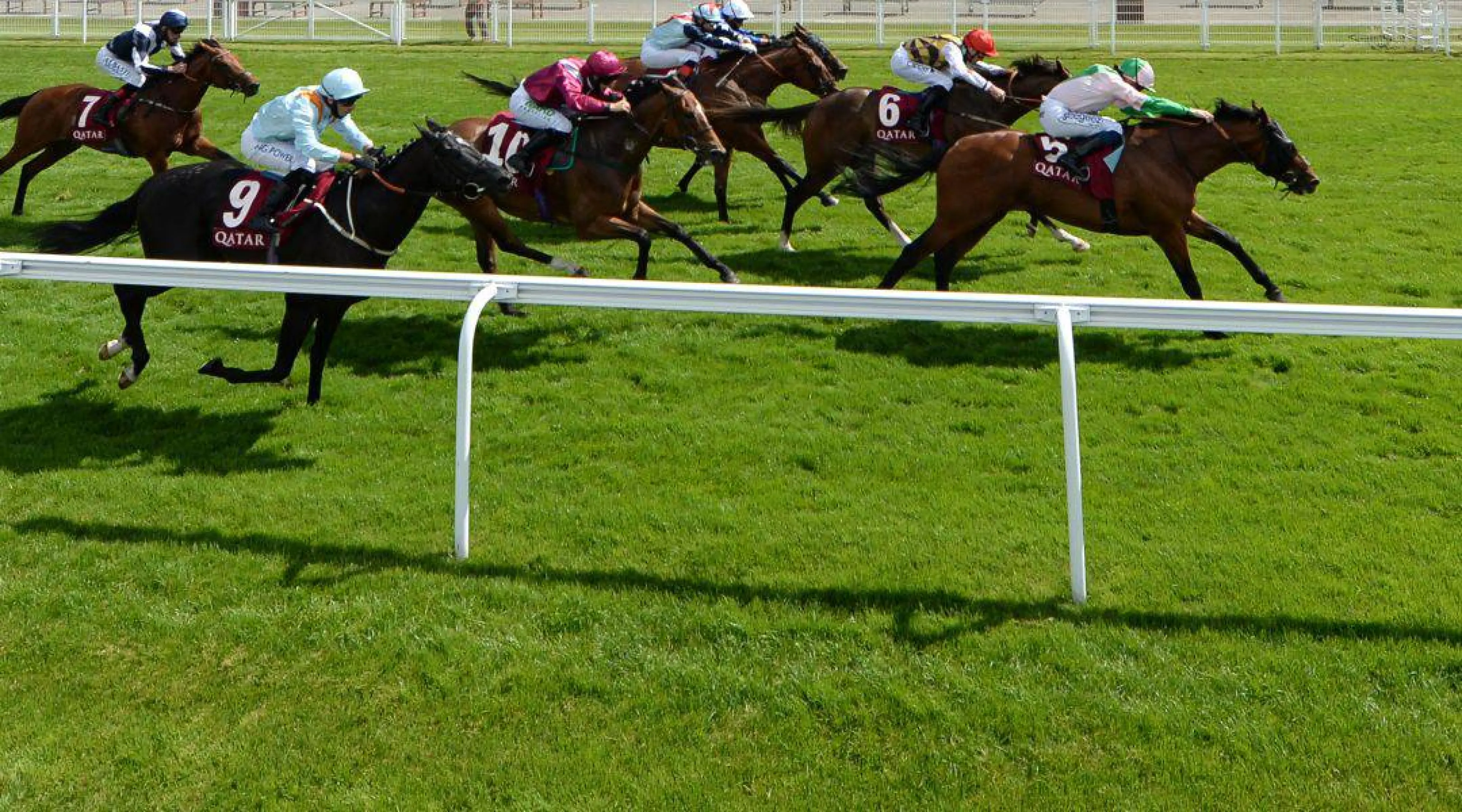 Goodwood