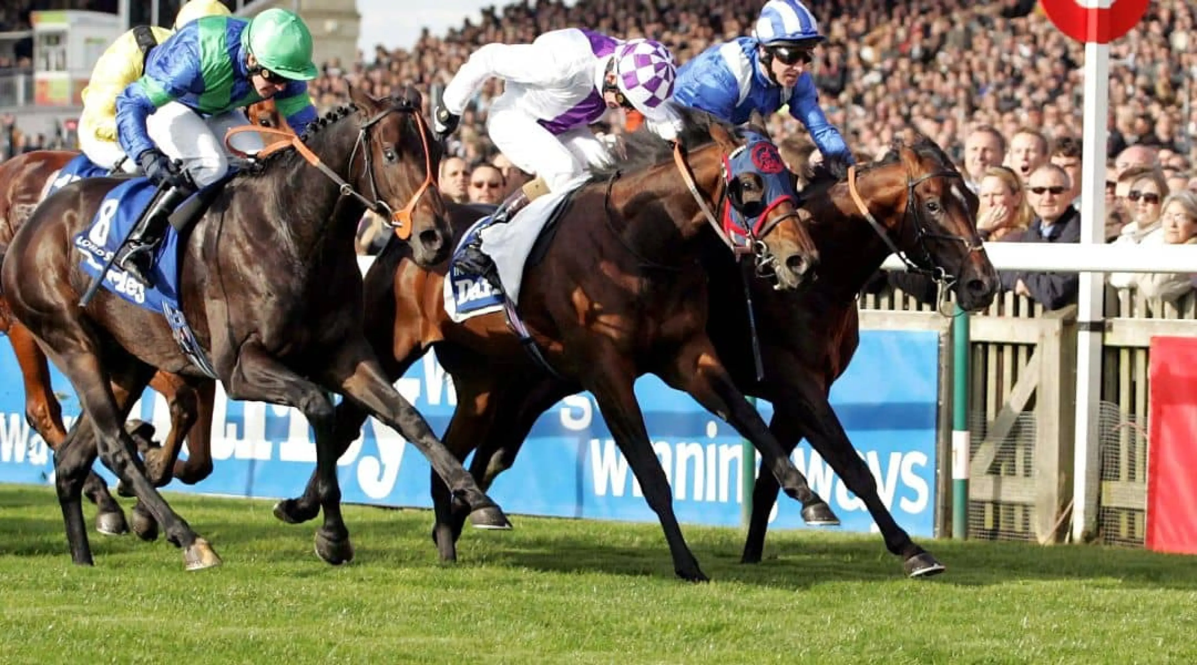 Dewhurst Stakes odds, Who Dares Wins odds, Horse Racing odds
