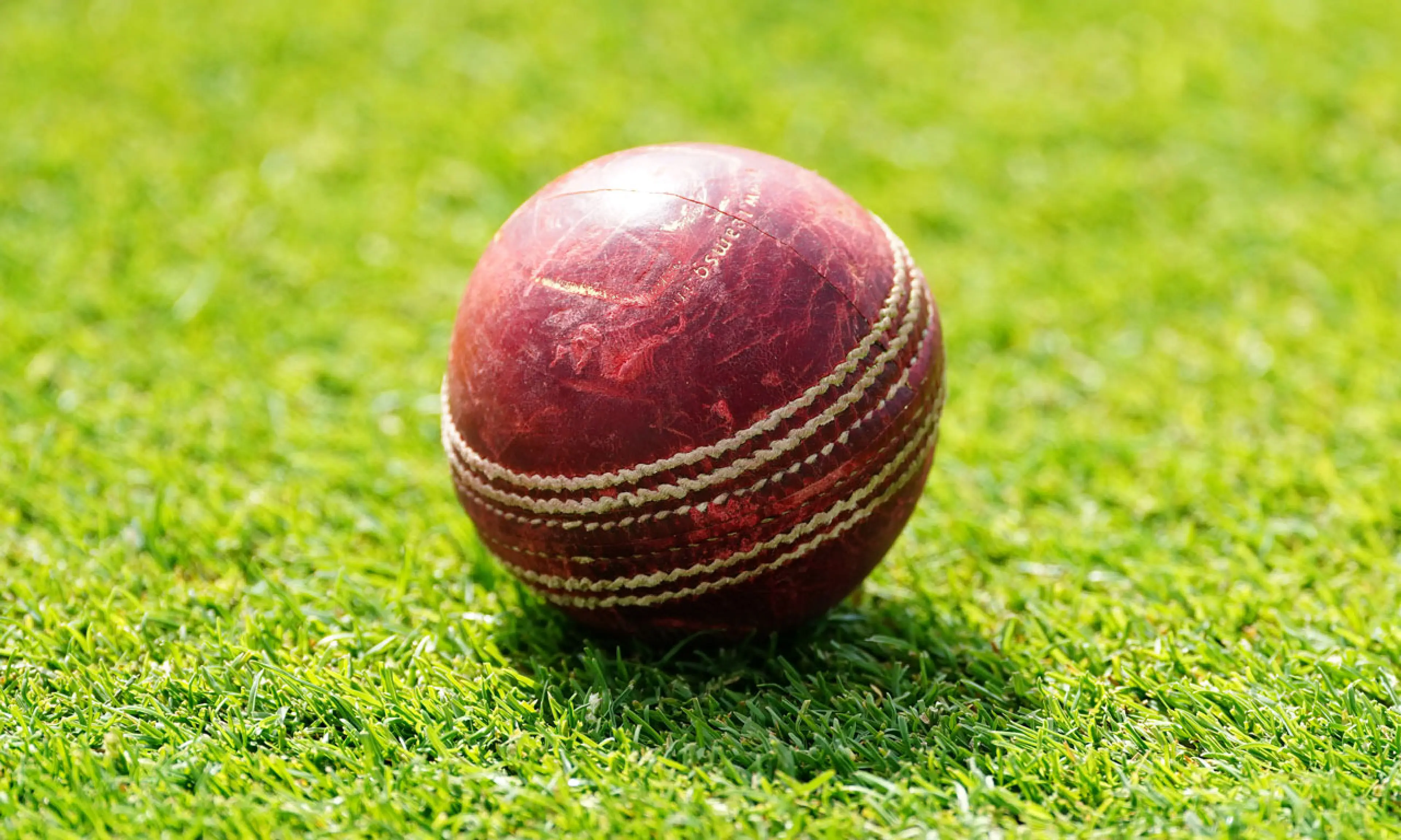 cricket