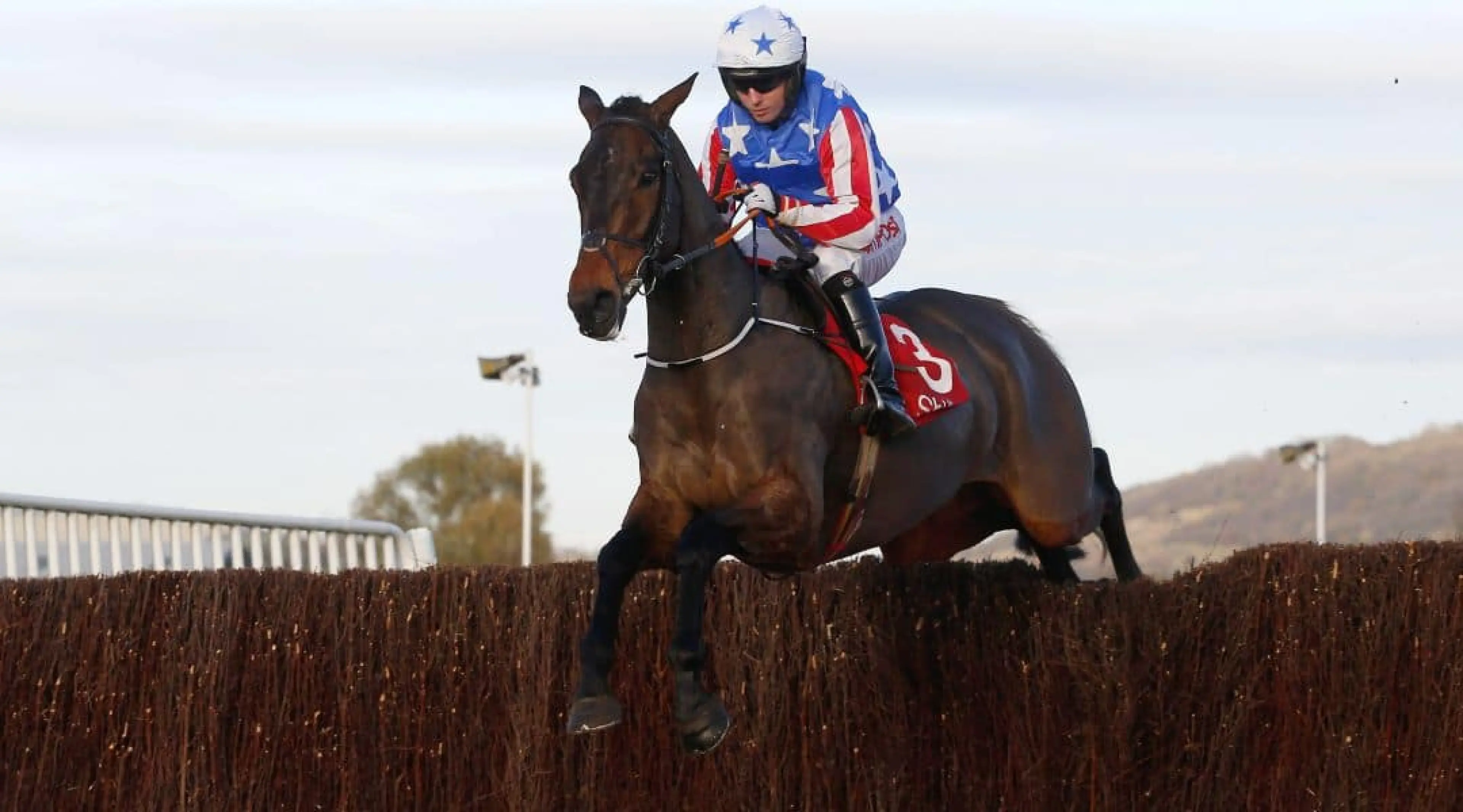 Noel Fehily