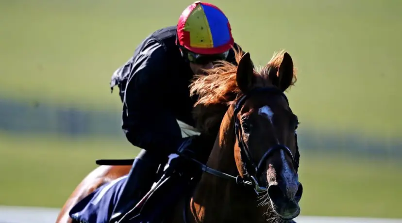 Wings Of Desire Epsom Derby Betting Odds