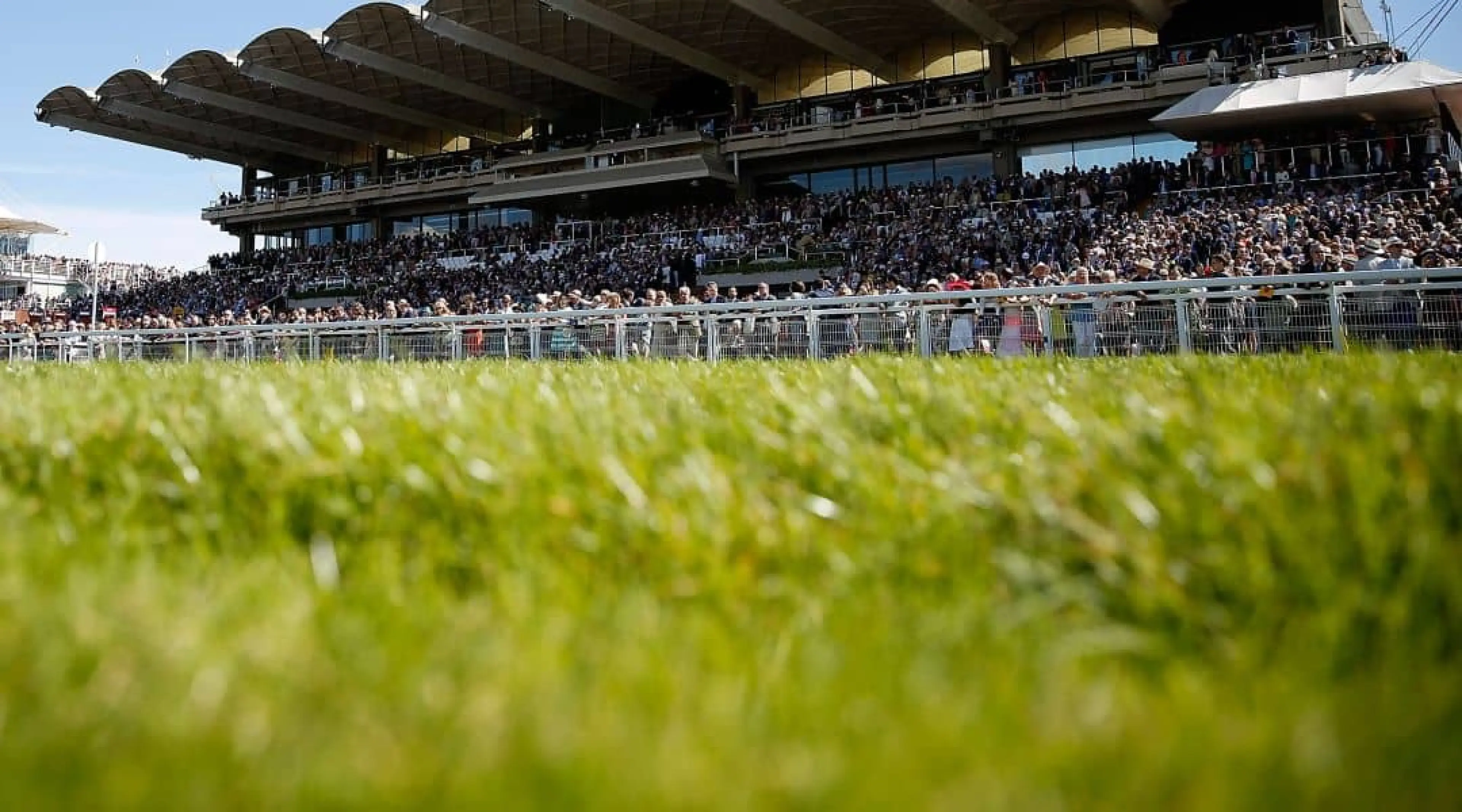 Glorious Goodwood Racing