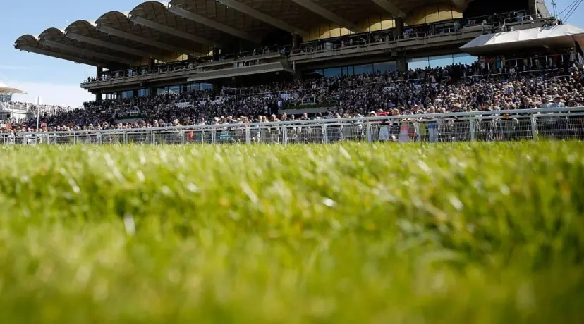 Glorious Goodwood Racing