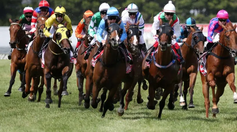 Generic Horse Racing