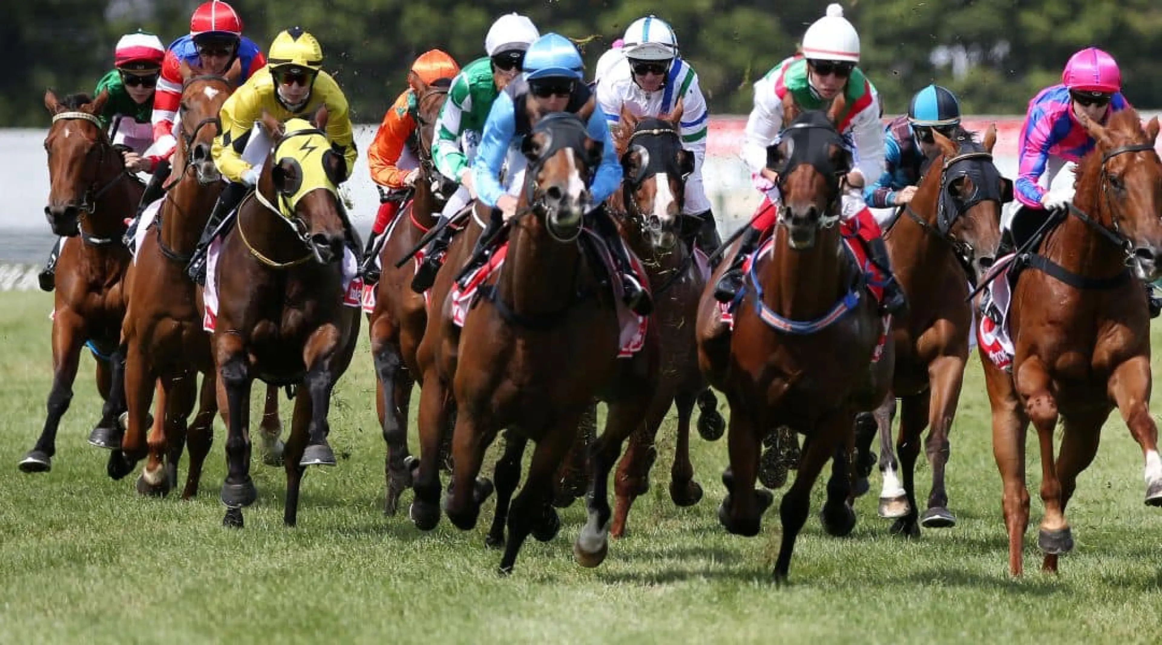 Generic Horse Racing