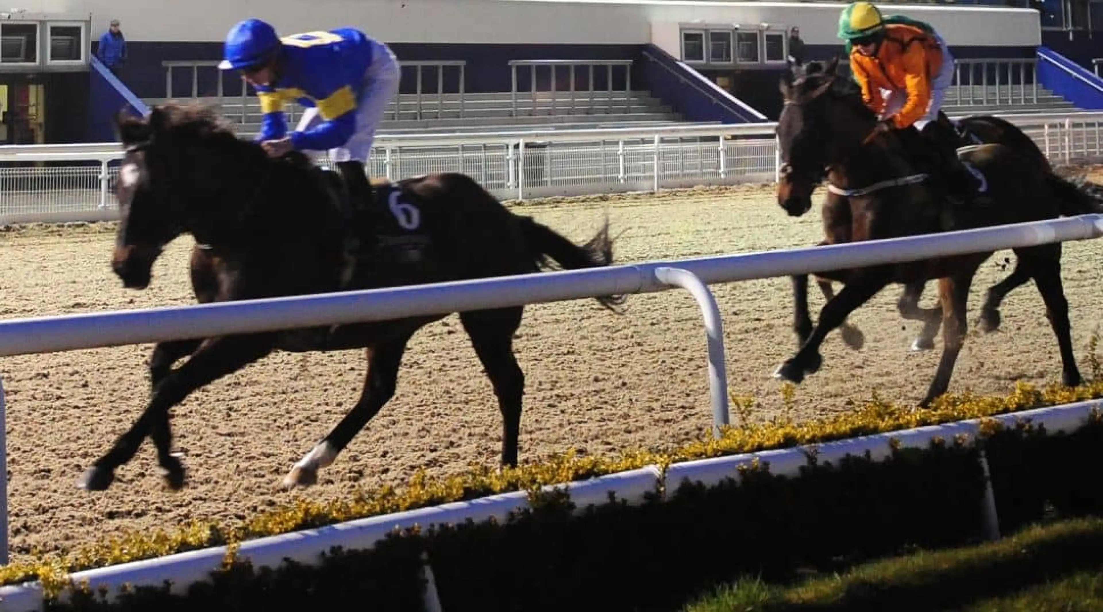 Dundalk Races